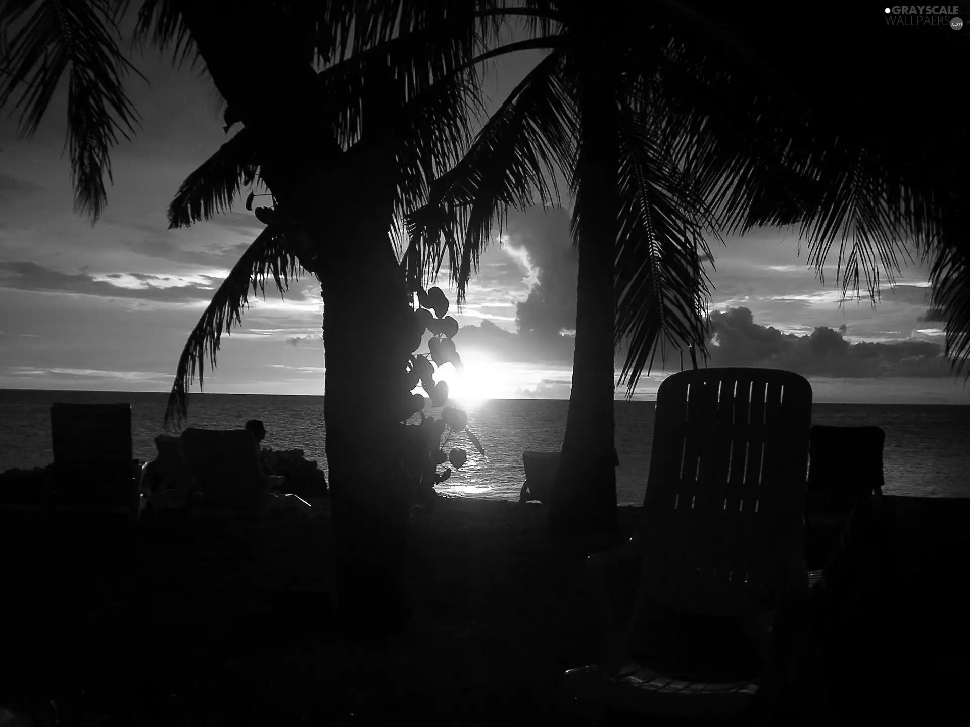 sea, Great Sunsets, Maldives, Palms