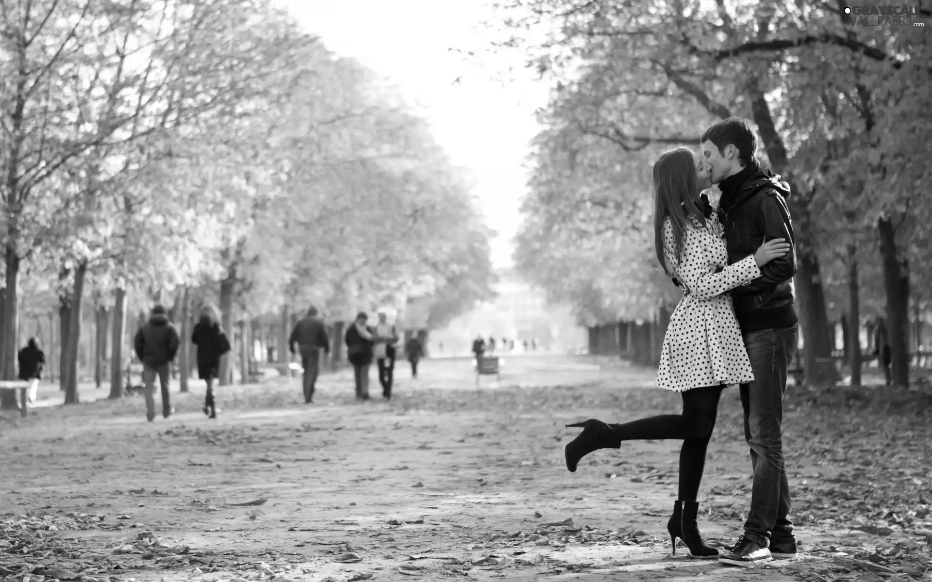 Leaf, Park, a man, Kiss, Women, lane