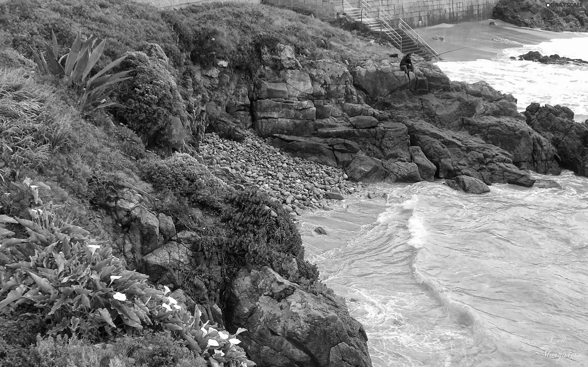 Waves, Coast, a man, angler, Flowers, rocks