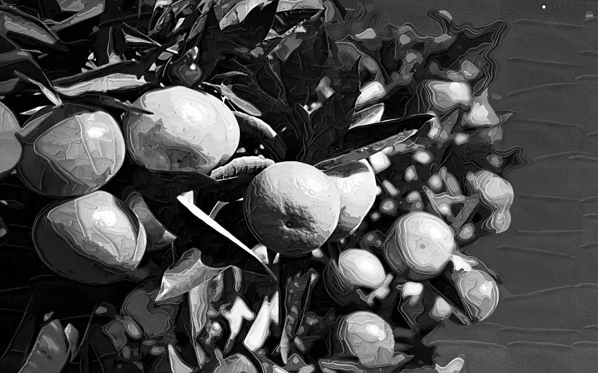 picture, mandarin