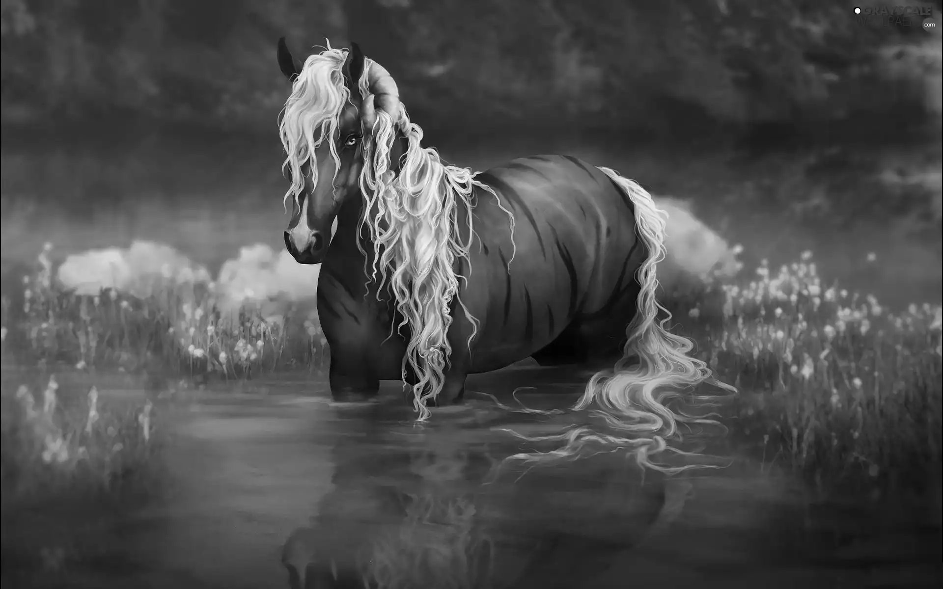 Horse, Bright, mane, water