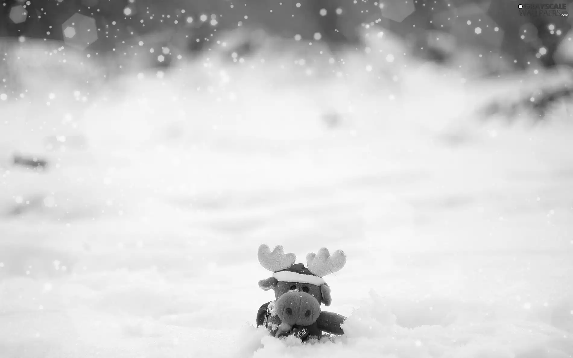 mascot, snow, reindeer
