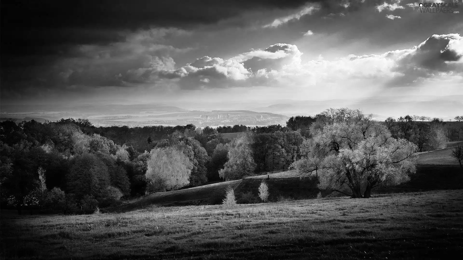 autumn, woods, Meadow, Mountains