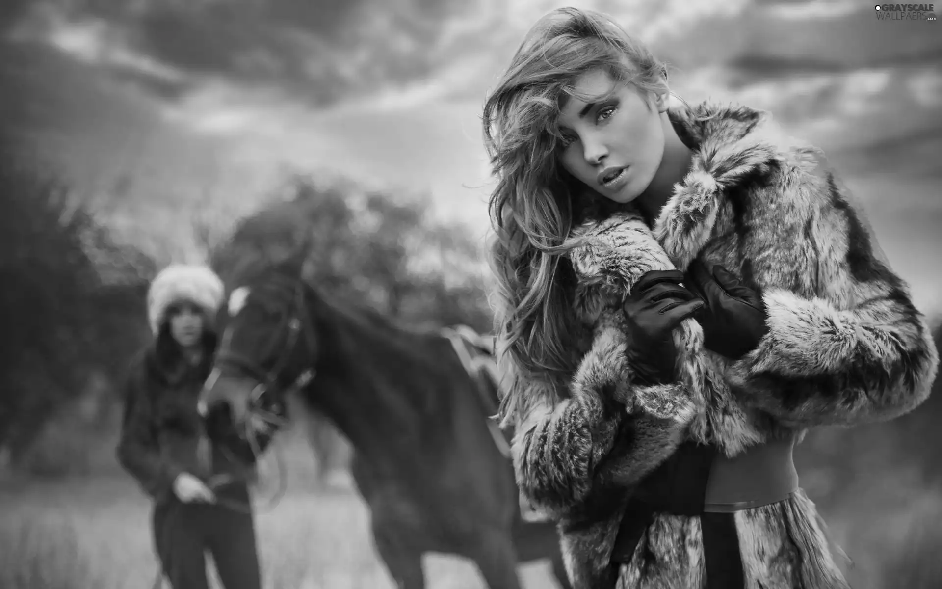 Beauty, Horse, Meadow, Women