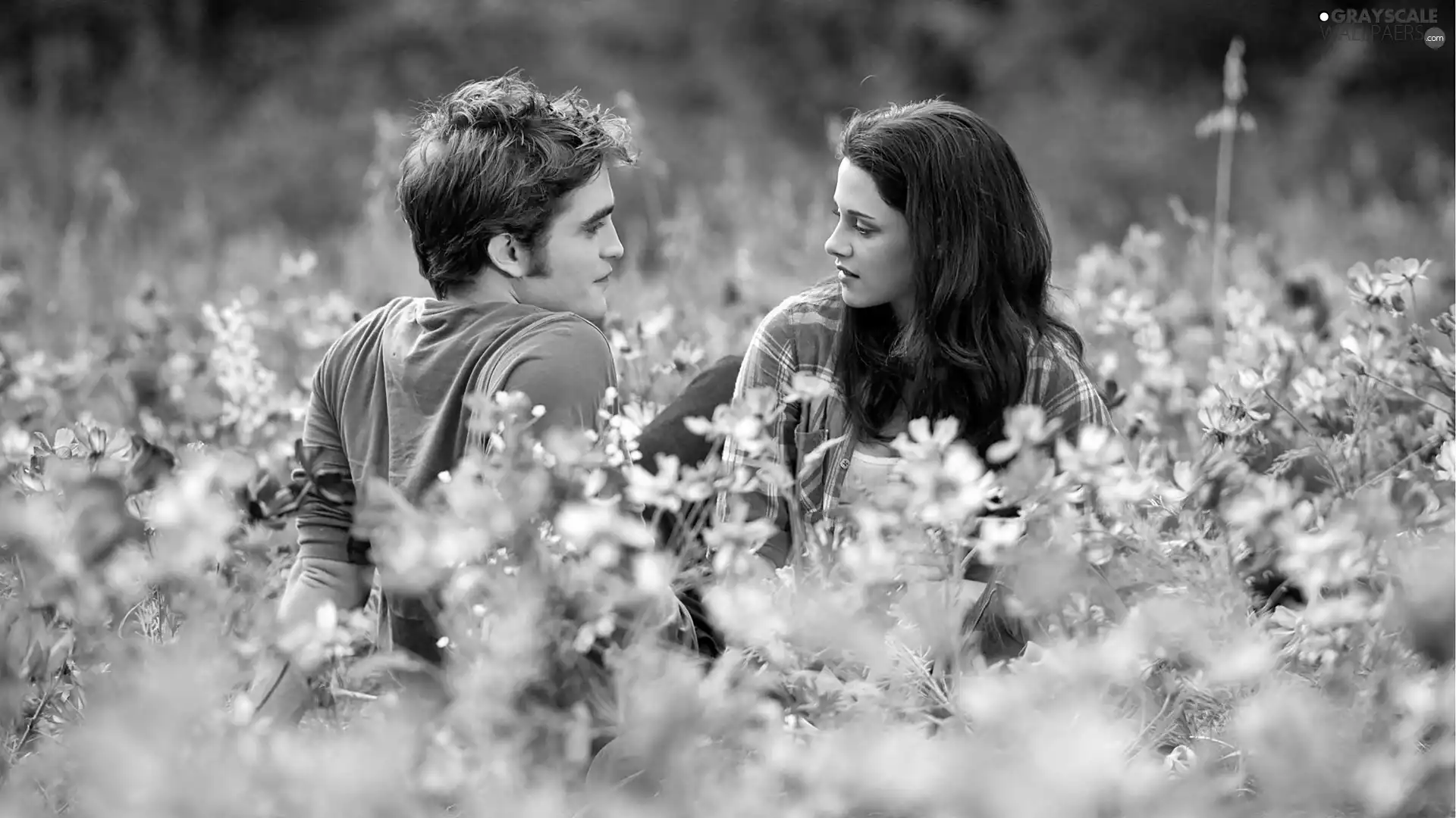 Kristen Stewart, Meadow, Robert Pattinson