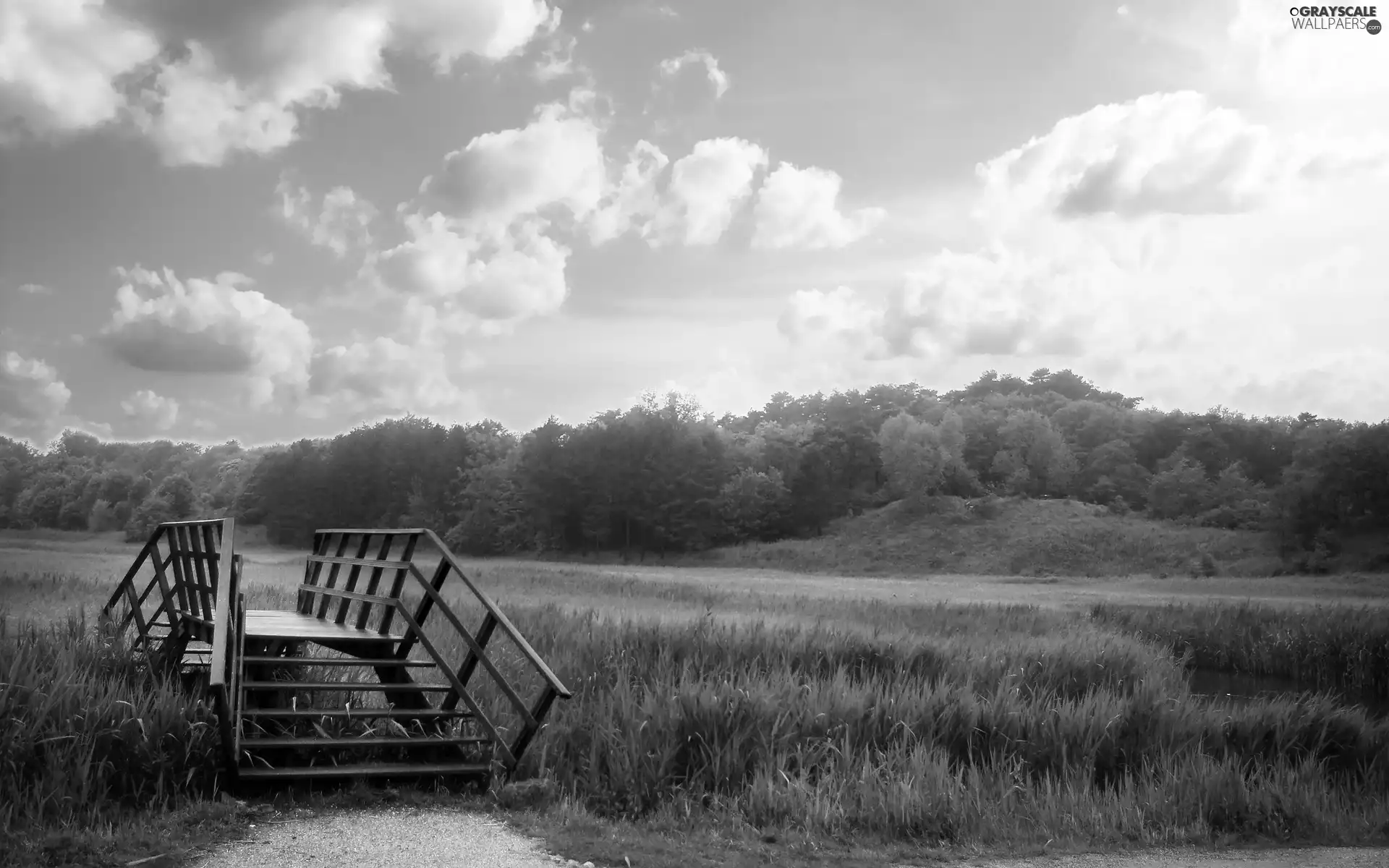 Meadow, wooden, bridges