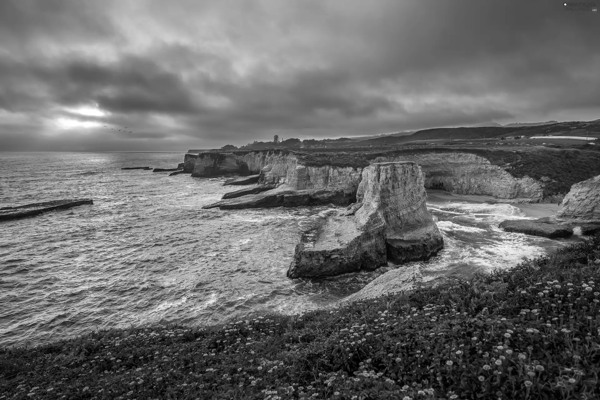 Meadow, California, Coast, Cliffs, sea