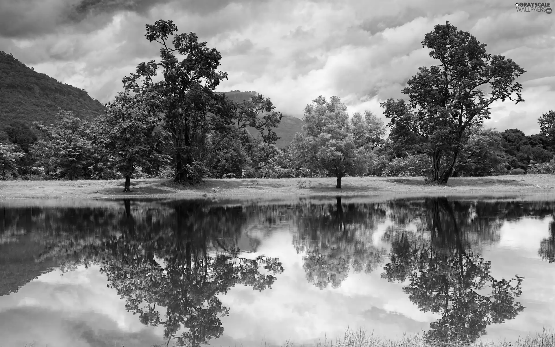 Meadow, clouds, trees, viewes, River