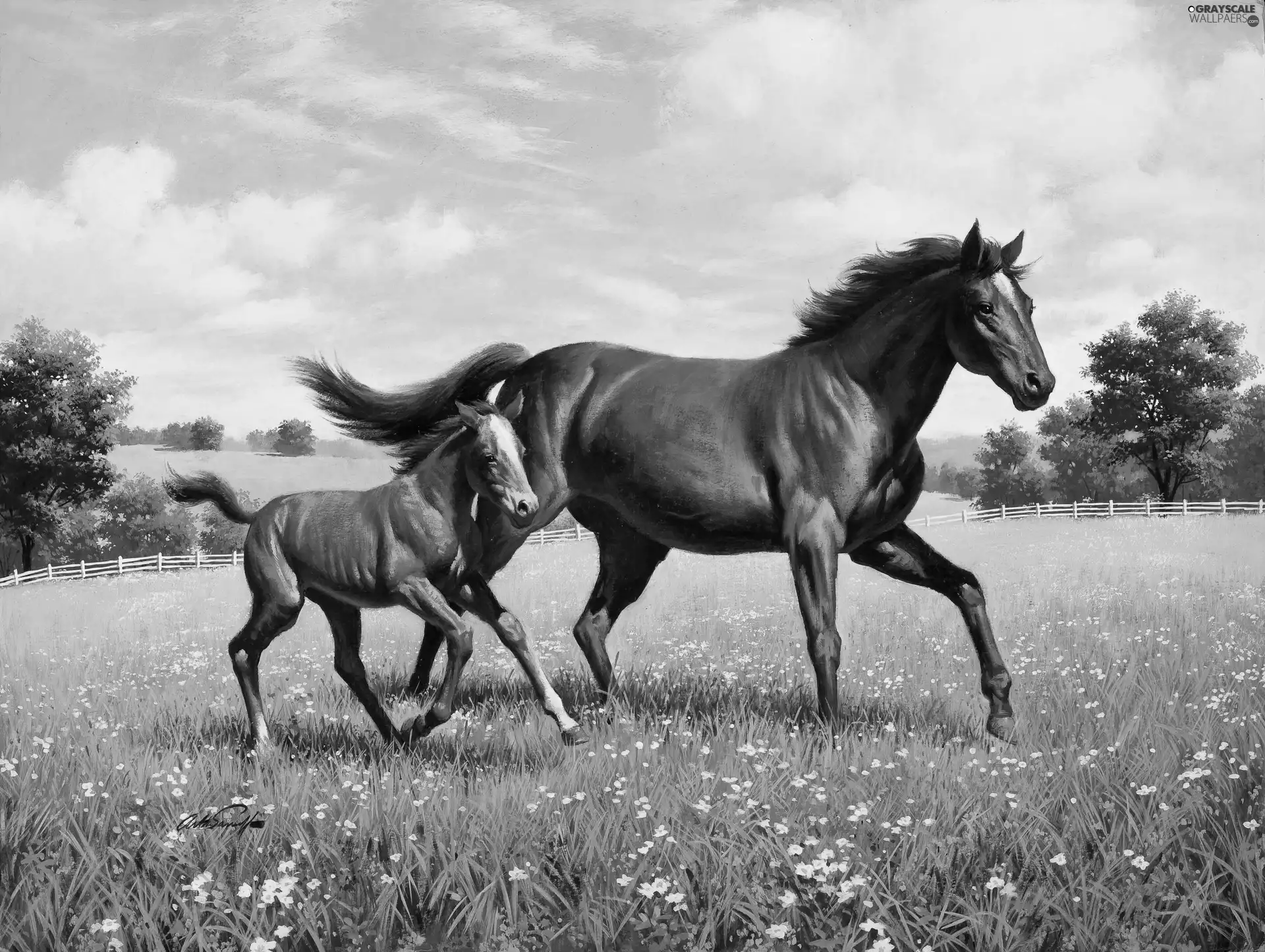 Meadow, Horse, picture, Arthur Saron Sarnoff, painting, Colt