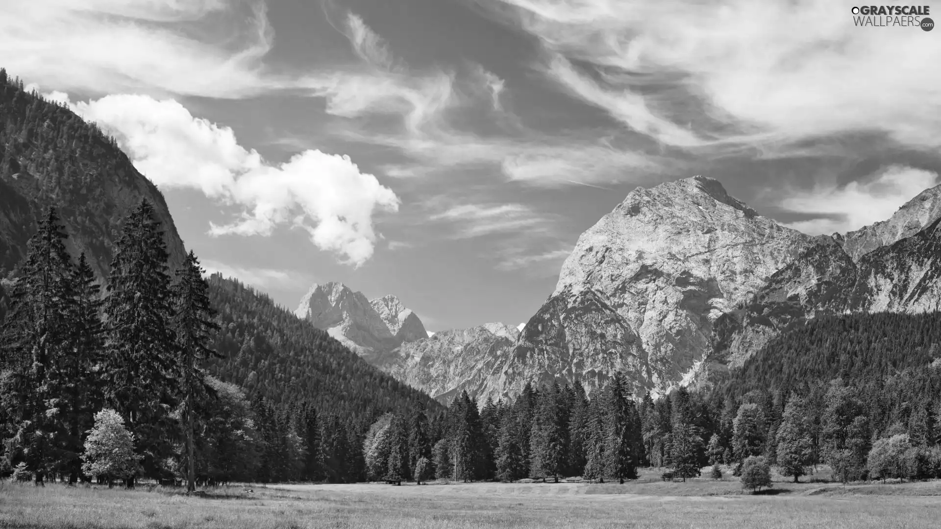 Meadow, Mountains, forest