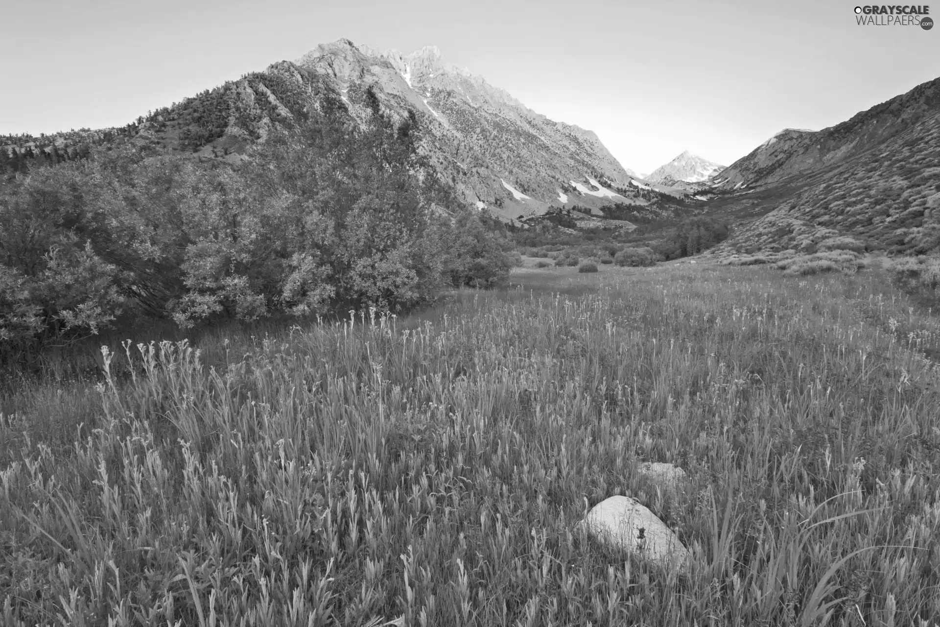 mountains, slope, Meadow, green ones