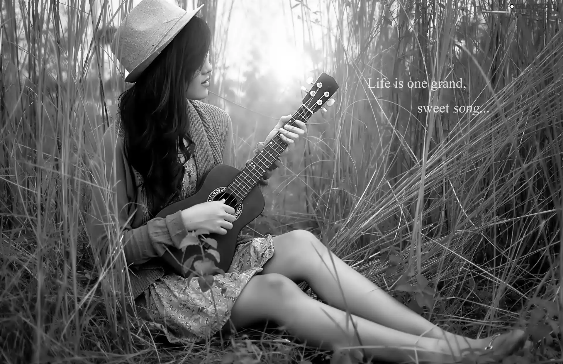 Meadow, Women, Guitar