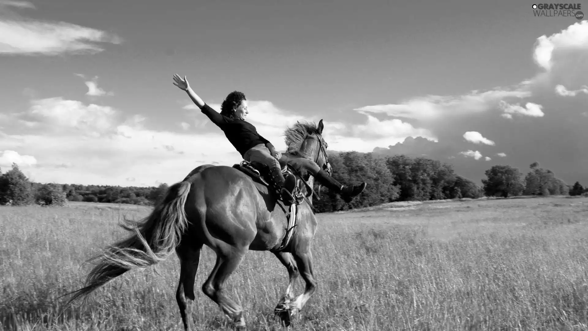 Meadow, Women, Horse