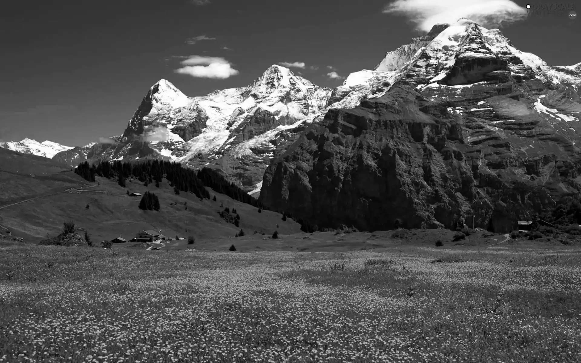 Meadow, Mountains, Houses