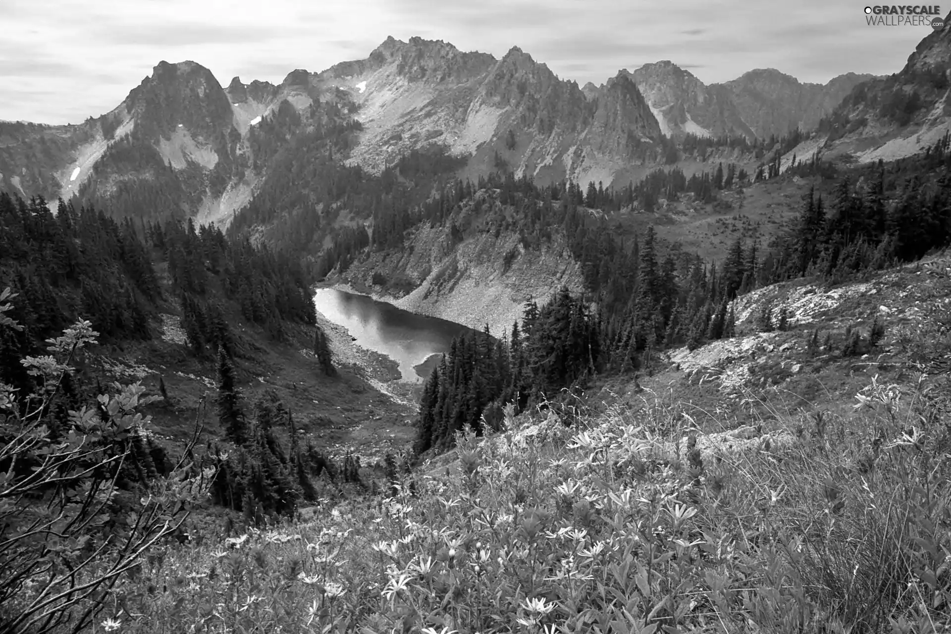 mountain, woods, Meadow, lake