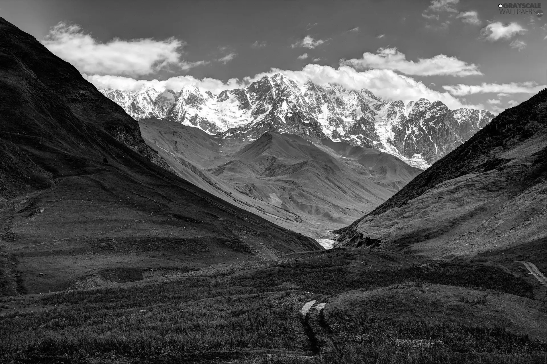 Mountains, Meadow