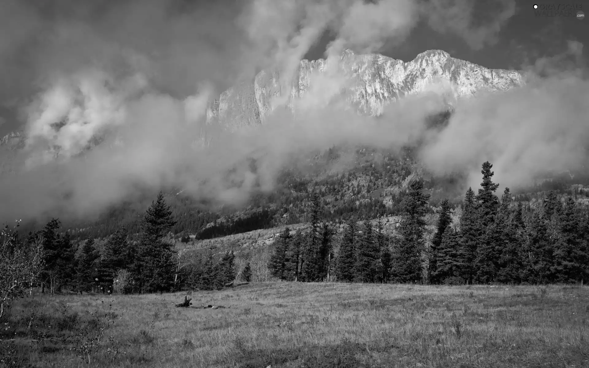 Mountains, forest, Meadow, clouds