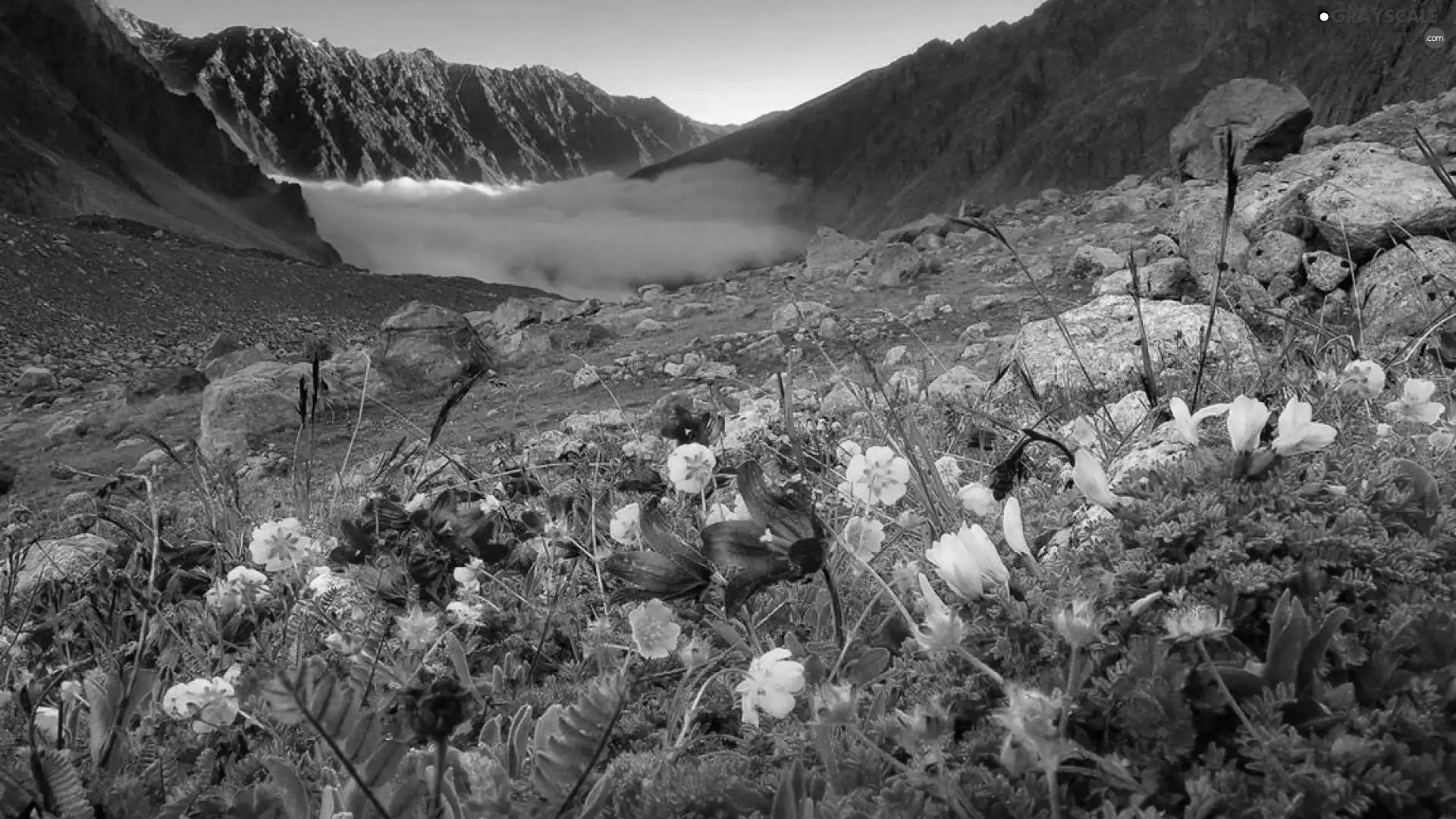 Mountains, Stones, Meadow, lake