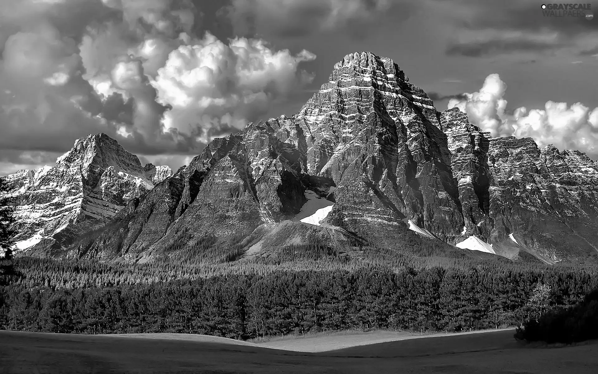 Mountains, woods, Meadow, clouds