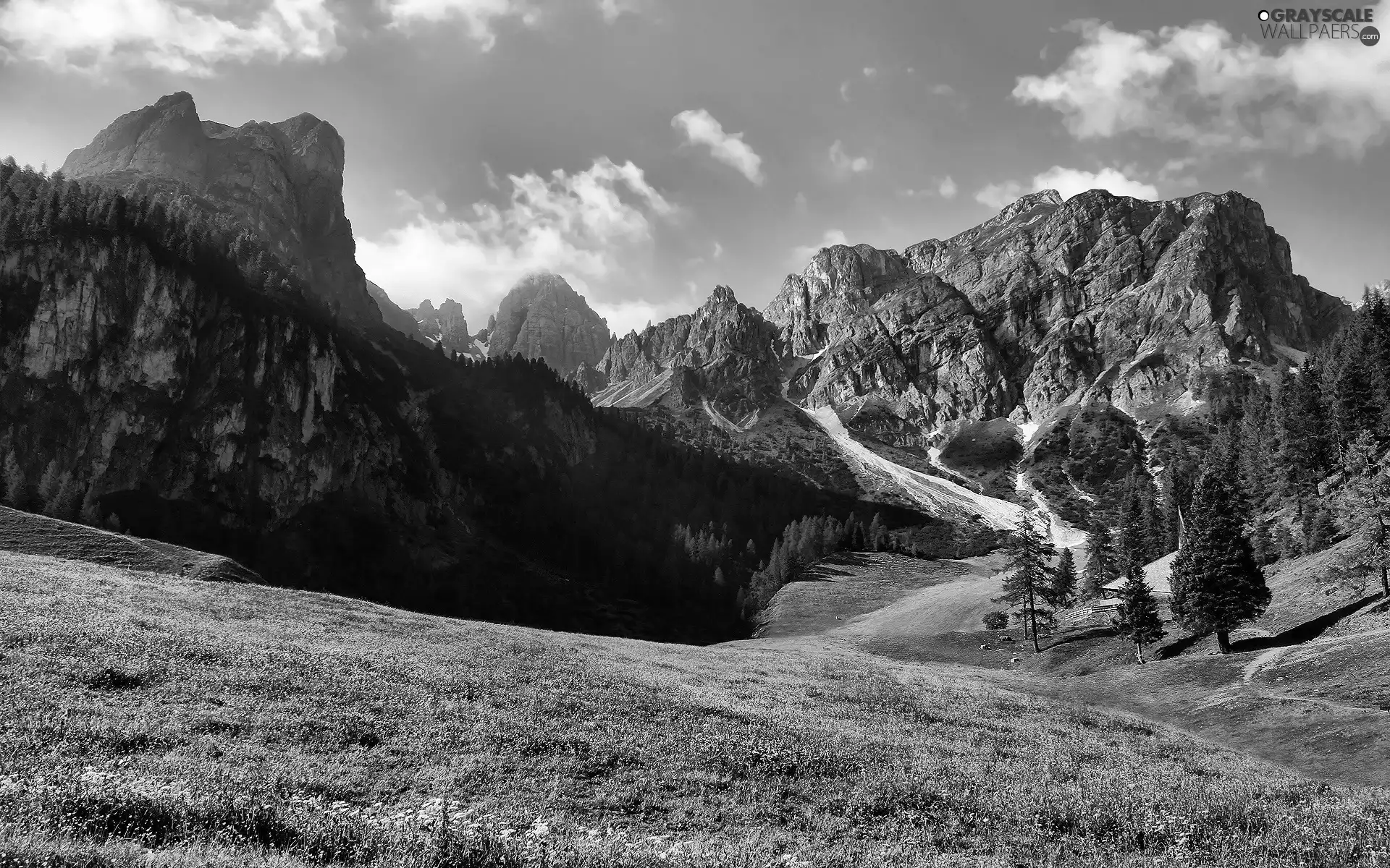 Mountains, Meadow