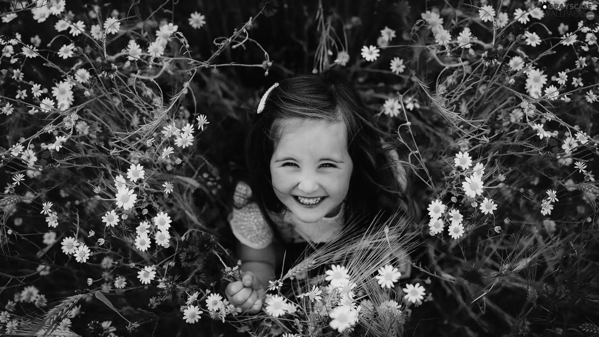 Flowers, girl, camomiles, Meadow, cornflowers, Smile