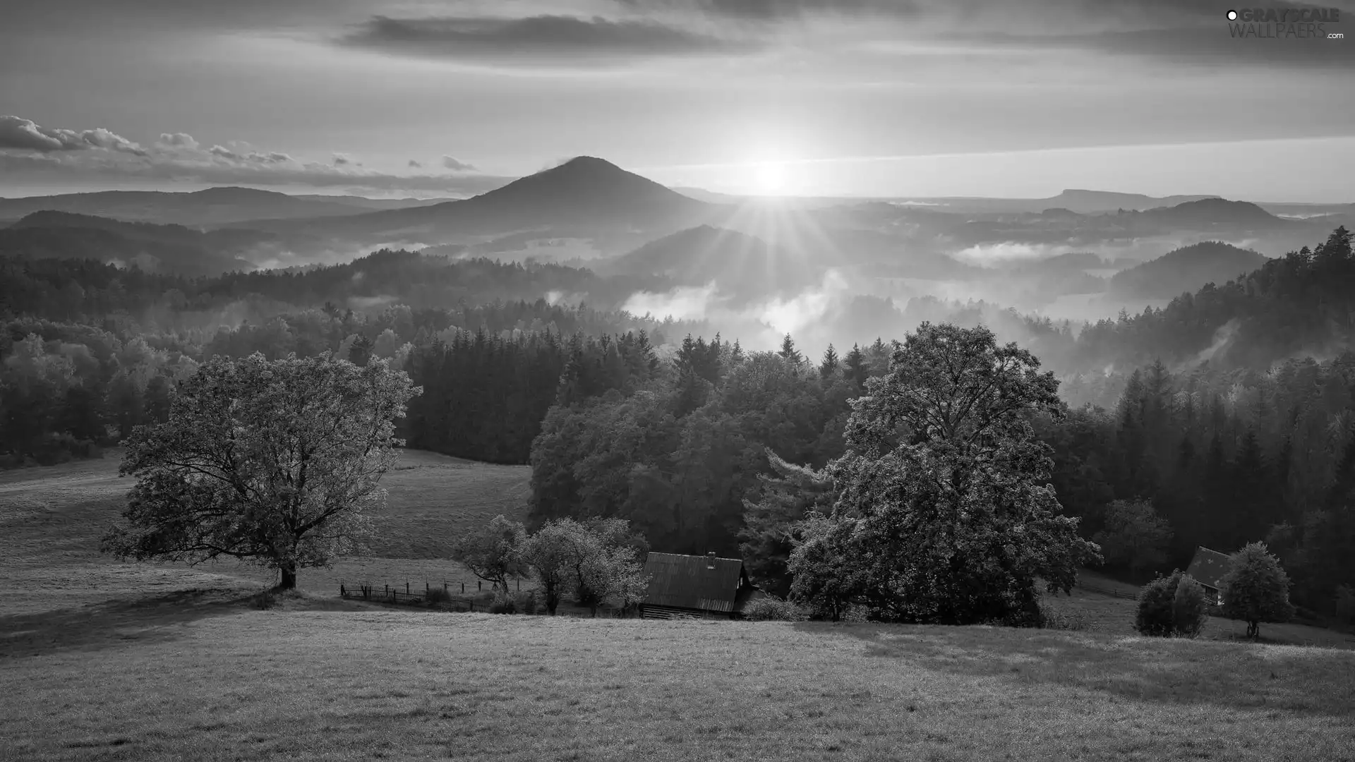 Meadow, Sunrise, viewes, rays of the Sun, trees, Mountains