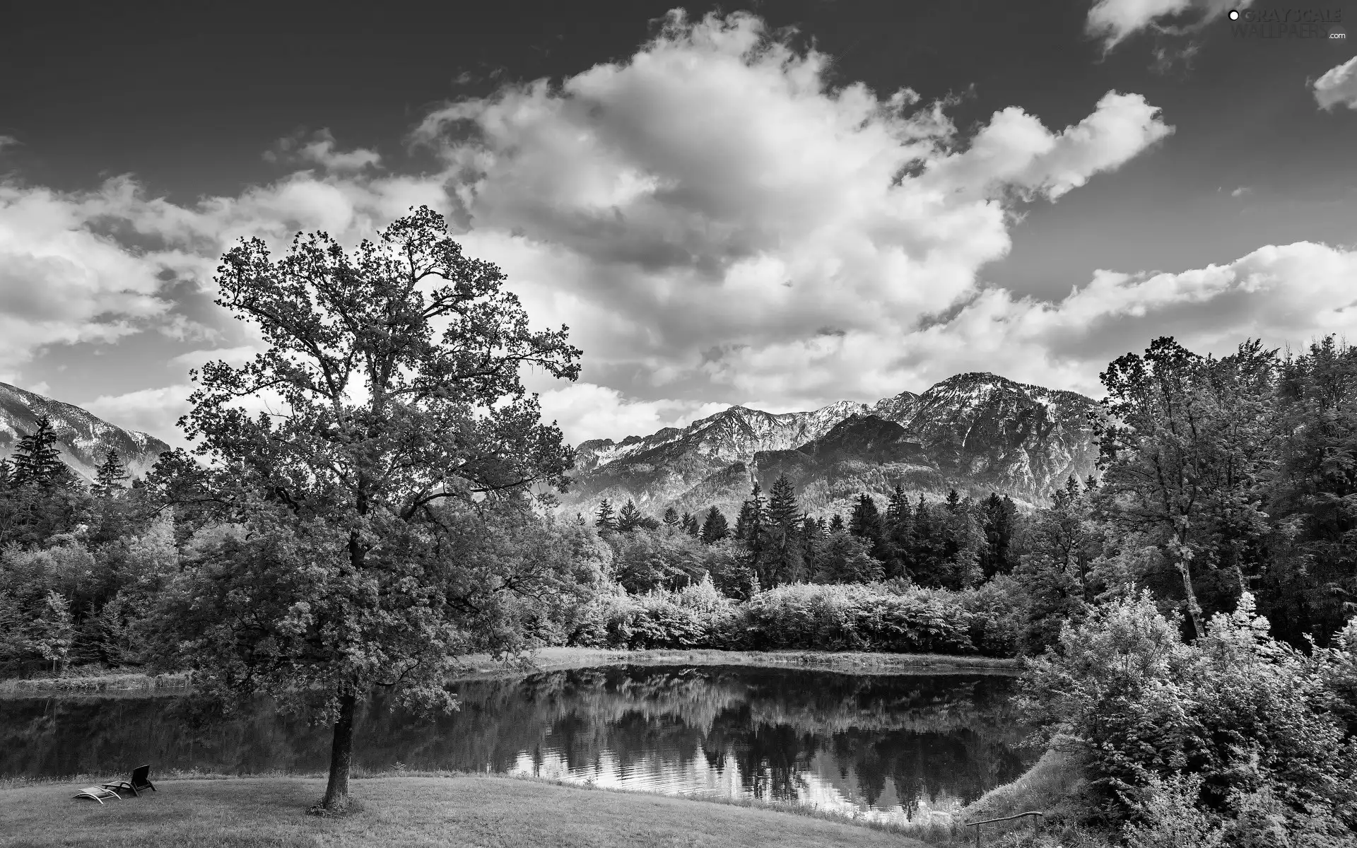 clouds, forest, trees, lake, Mountains, Meadow, viewes
