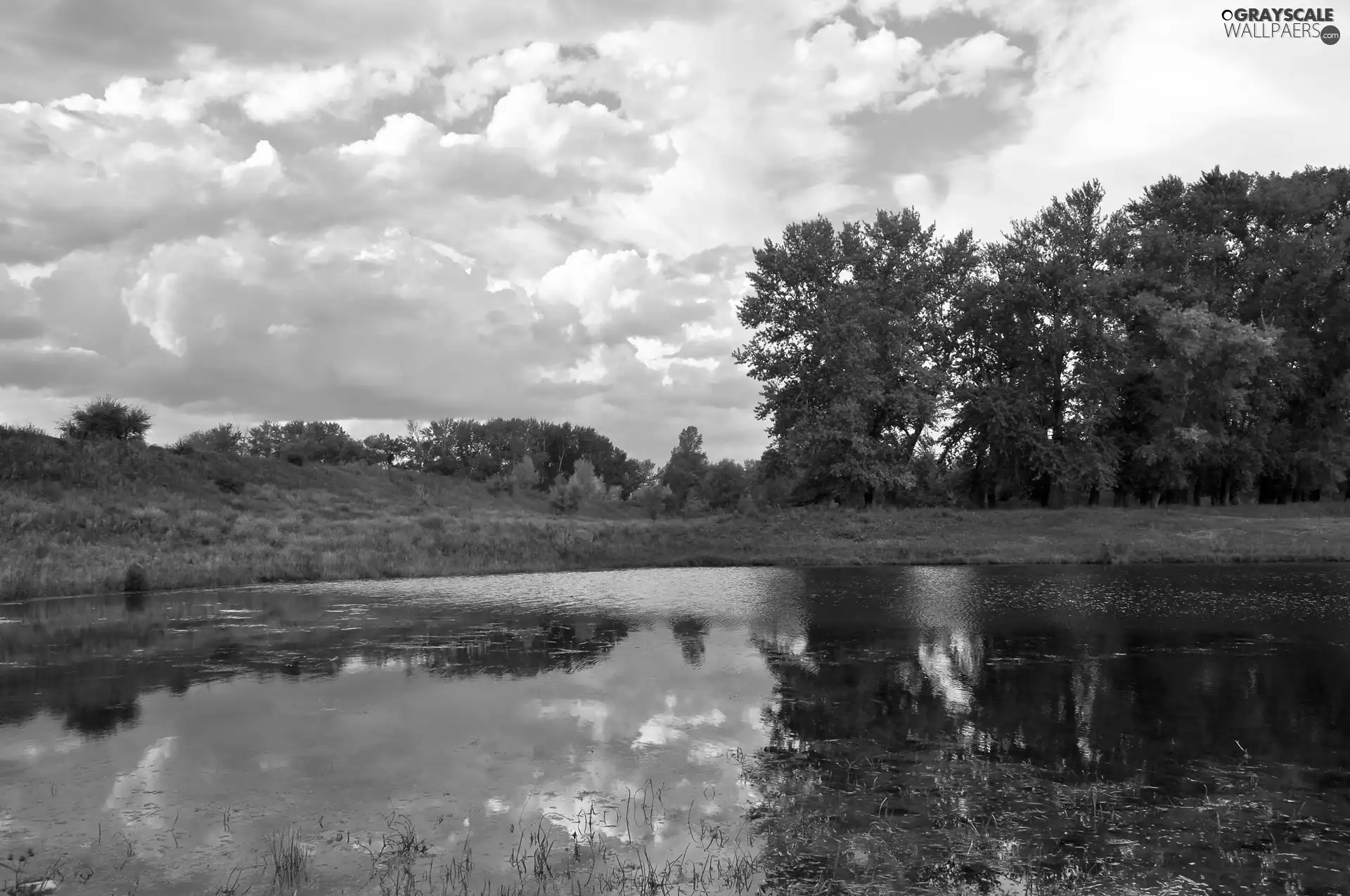 viewes, Meadow, reflection, autumn, clouds, trees, lake, Sky