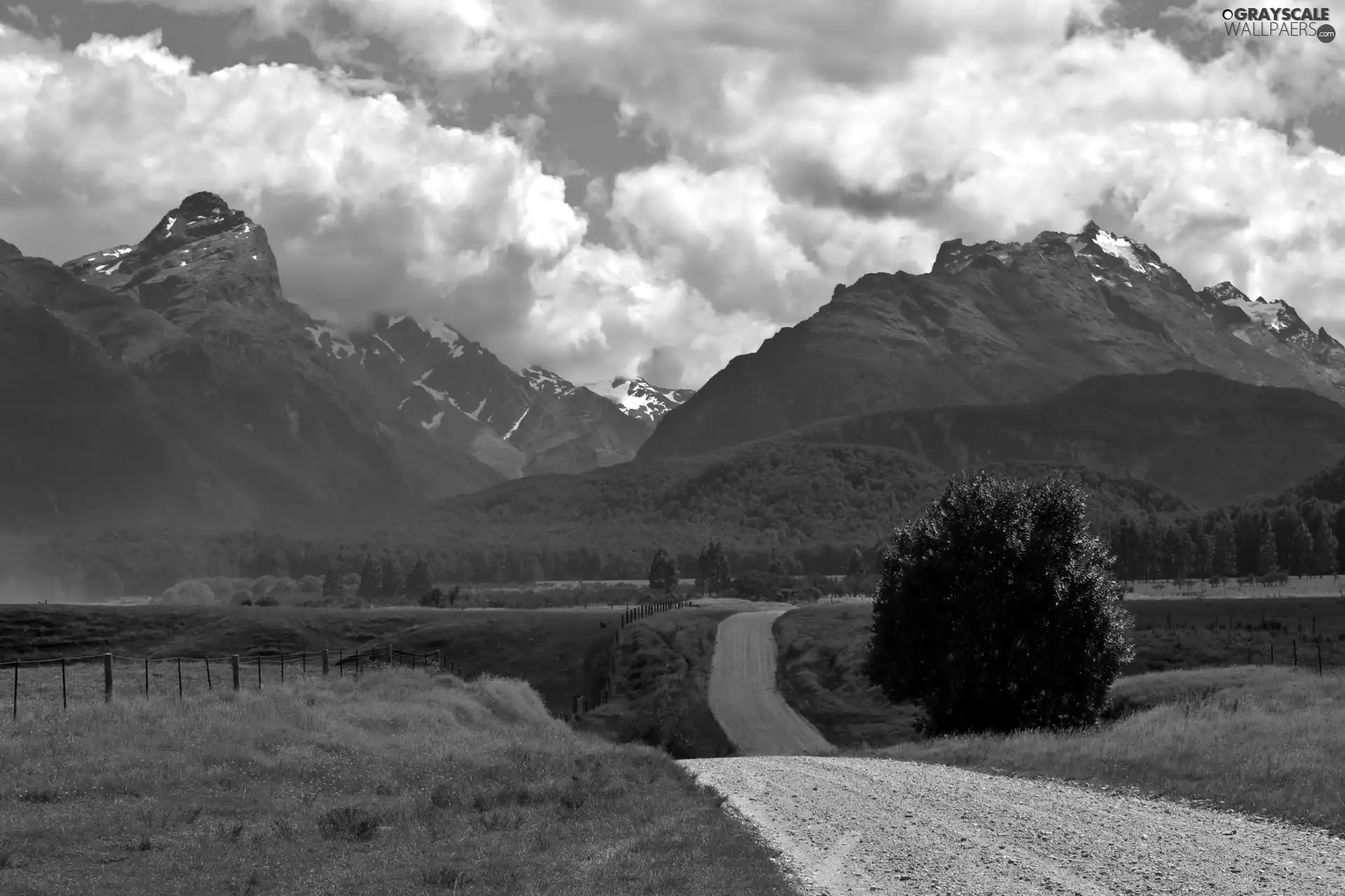 Meadow, Mountains, Way