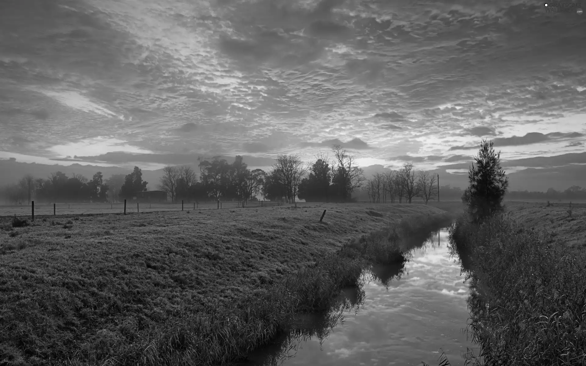 west, clouds, Meadow, sun