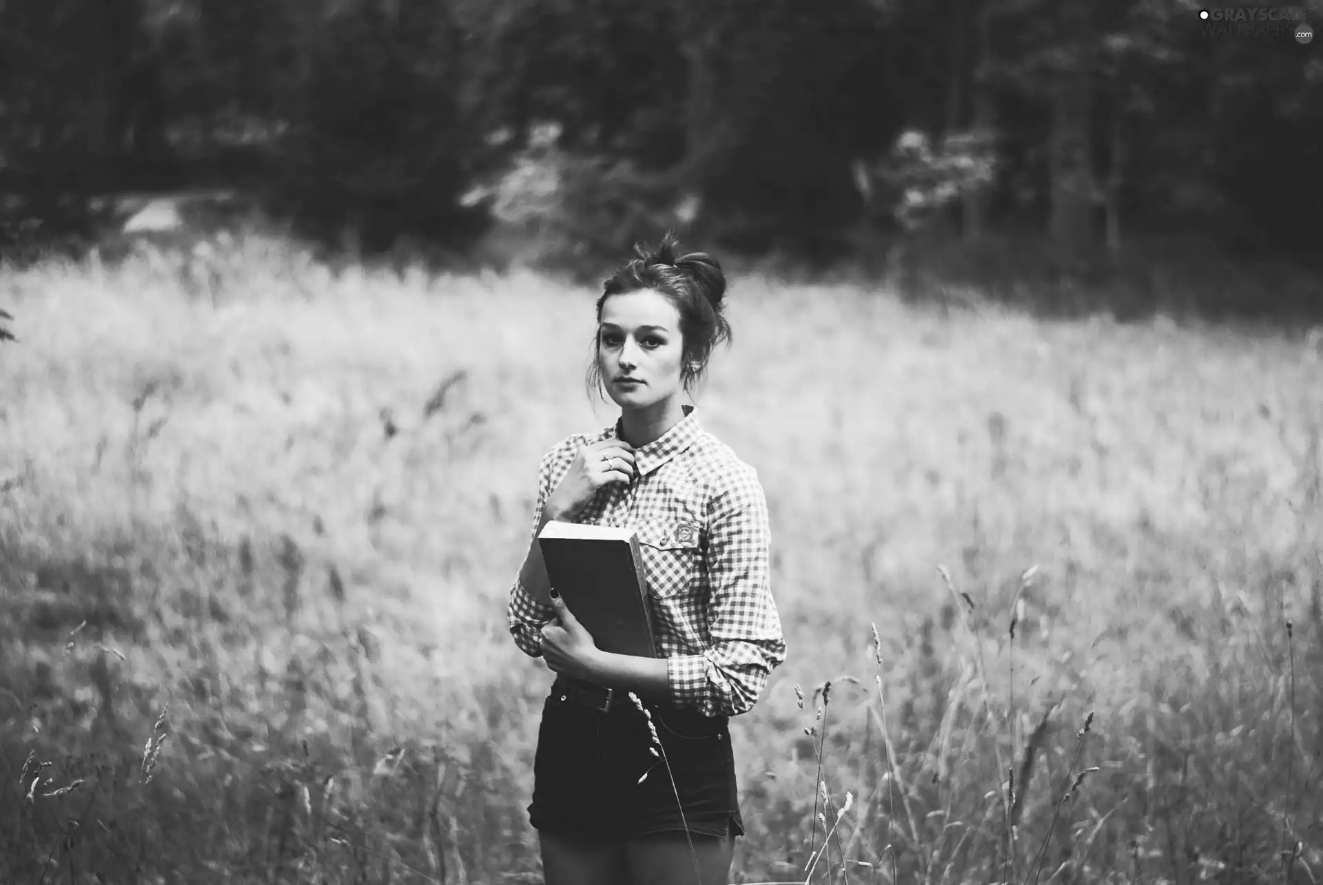 Women, Book, Meadow, brunette