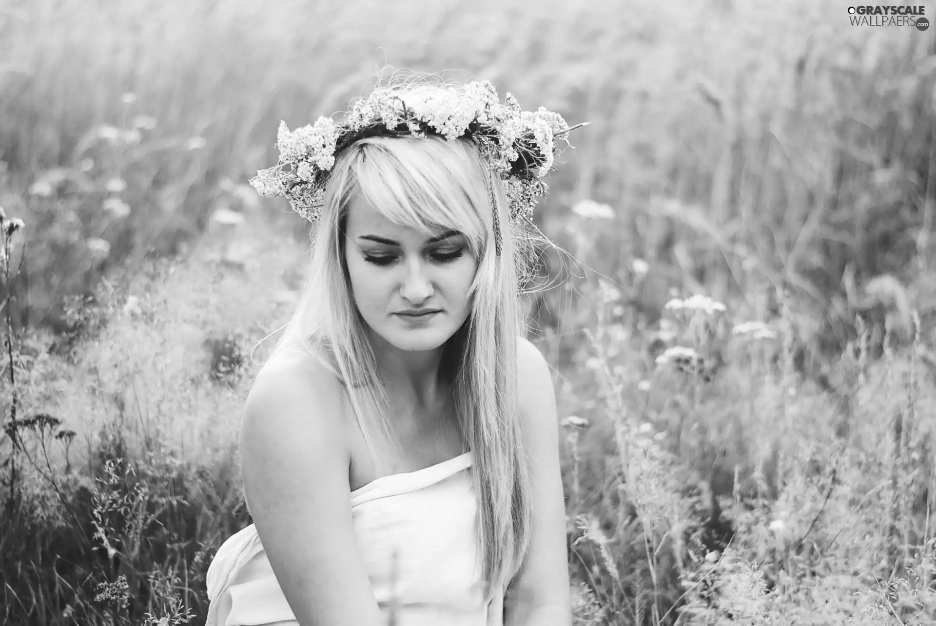 Women, wreath, Meadow, Blonde