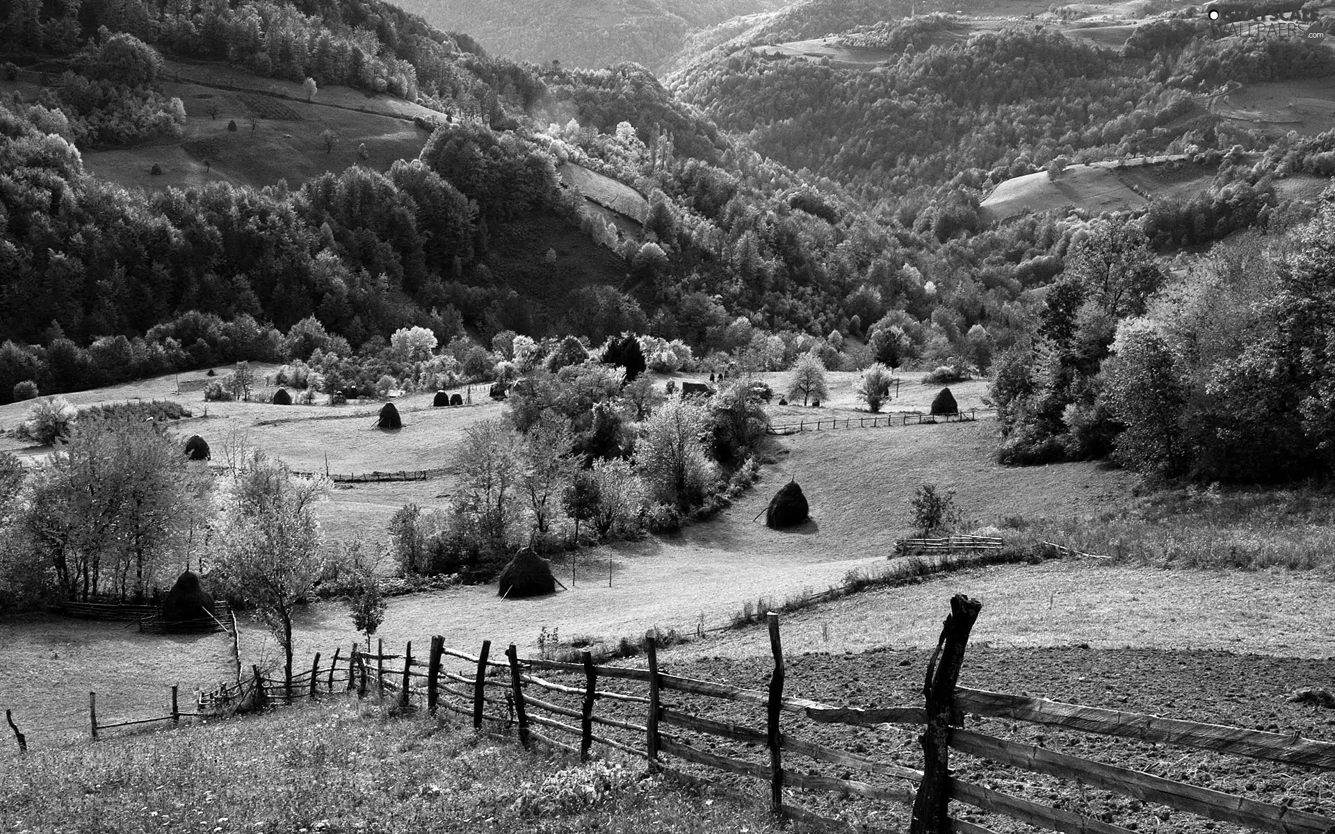 medows, autumn, woods, field, Mountains