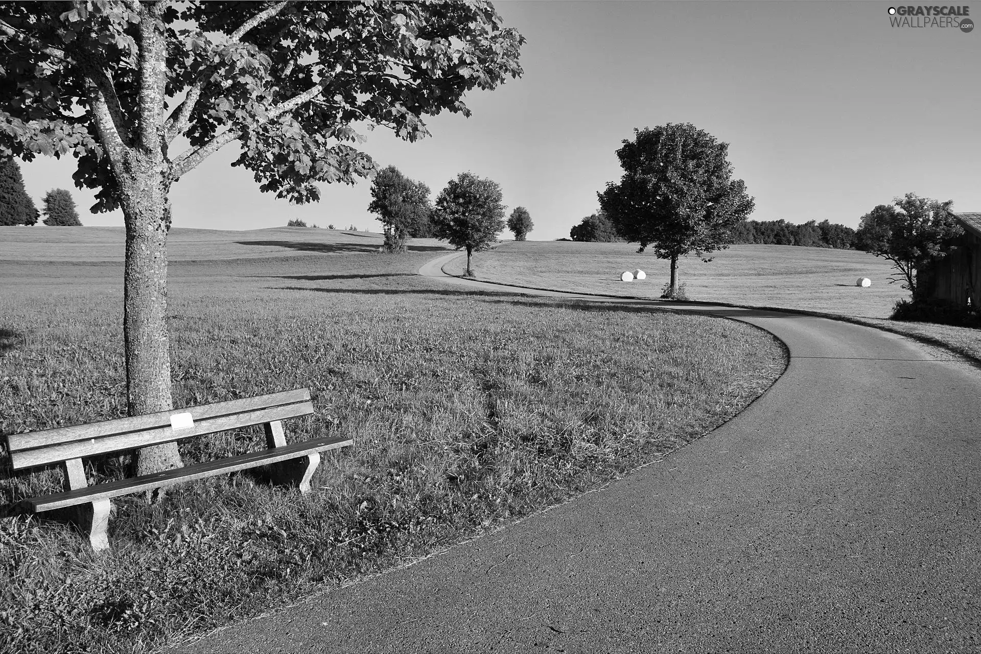 medows, Way, Bench