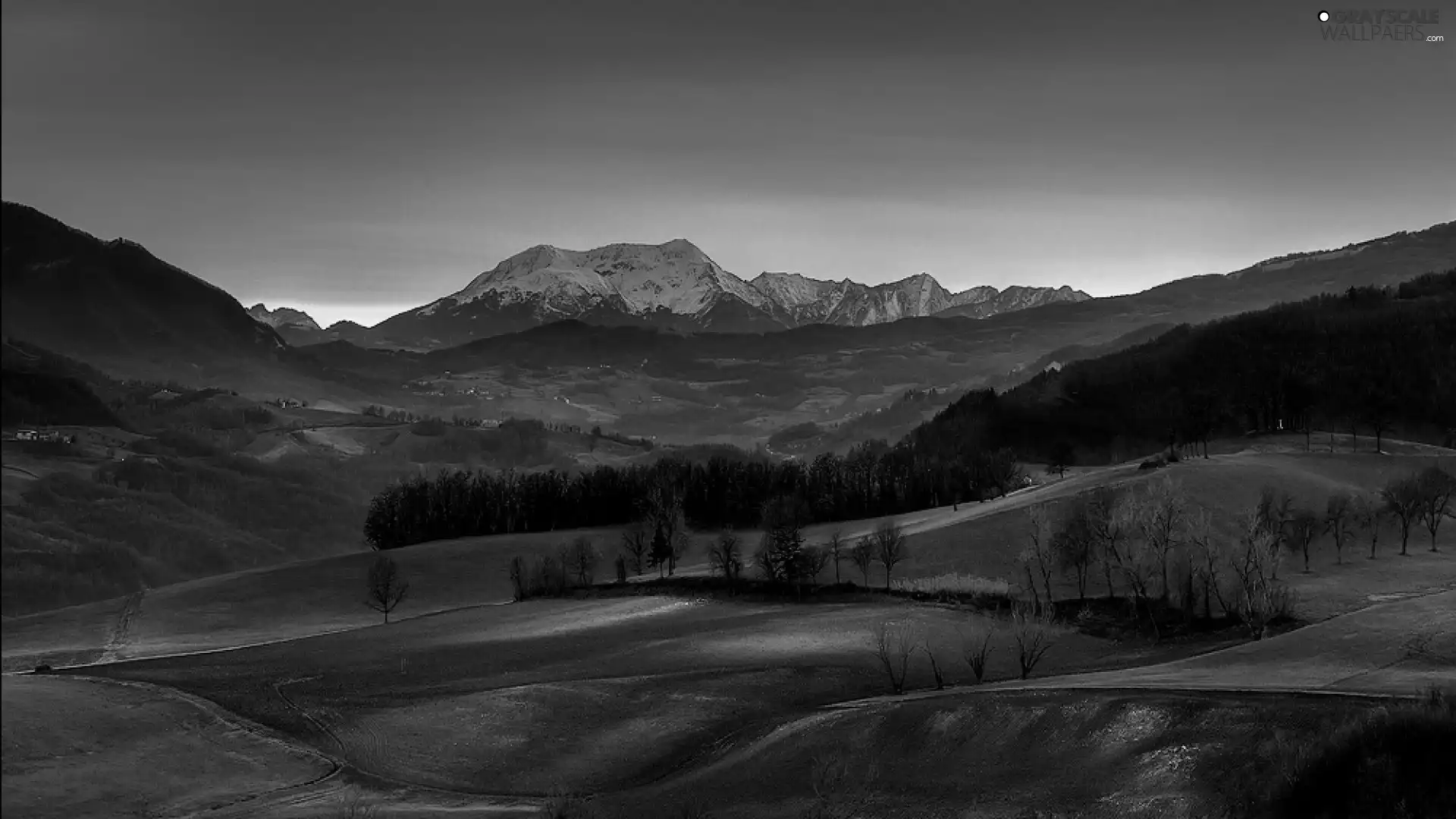 medows, Mountains, forest