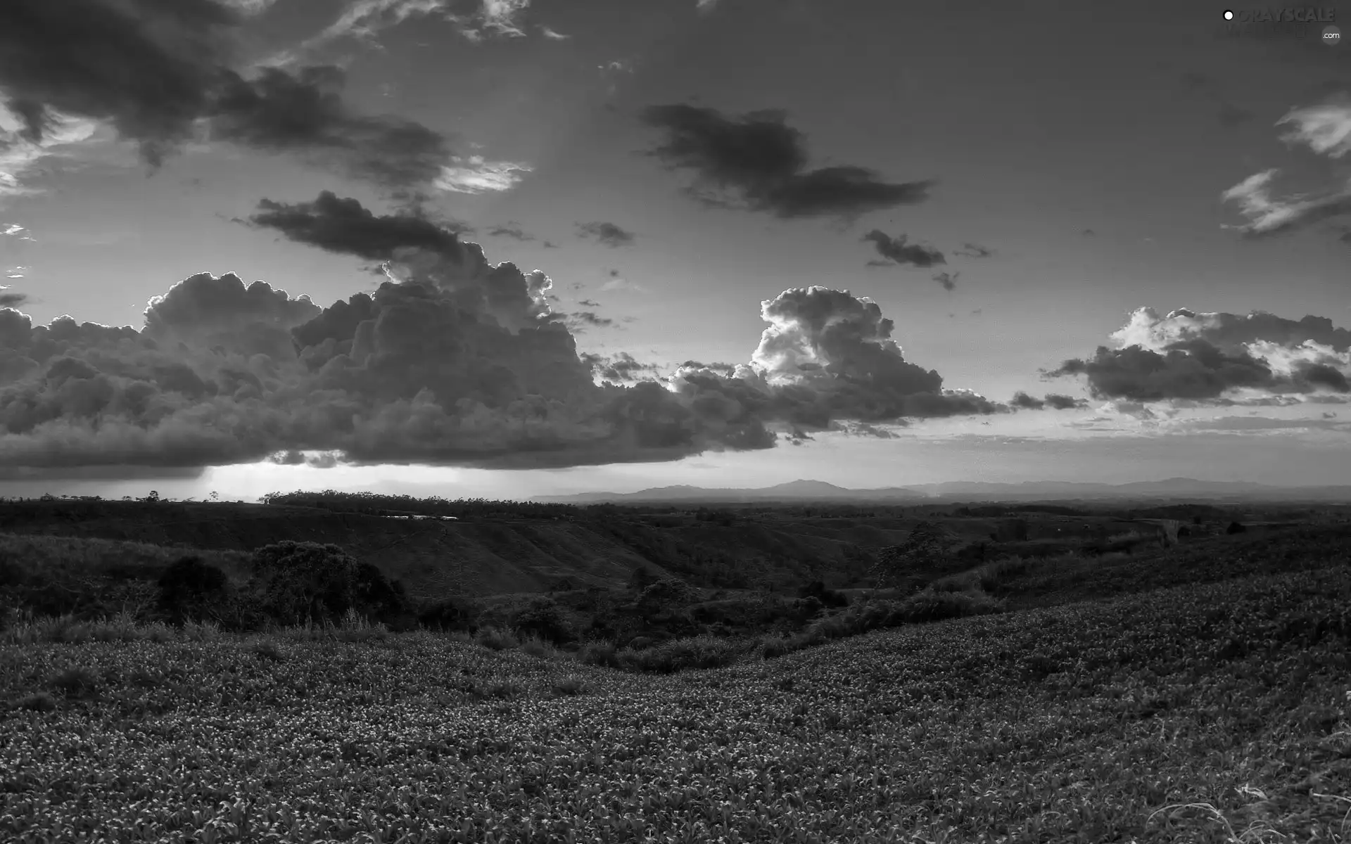 medows, clouds, Mountains