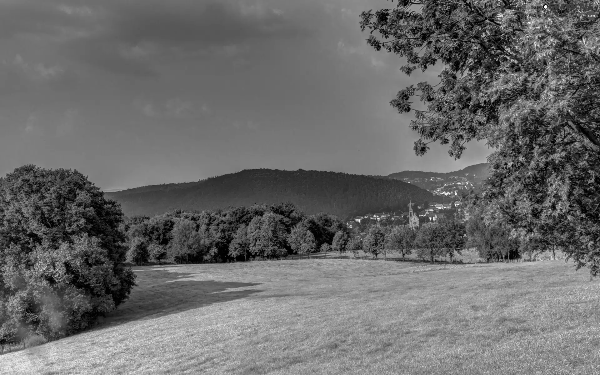 Mountains, Town, medows, woods