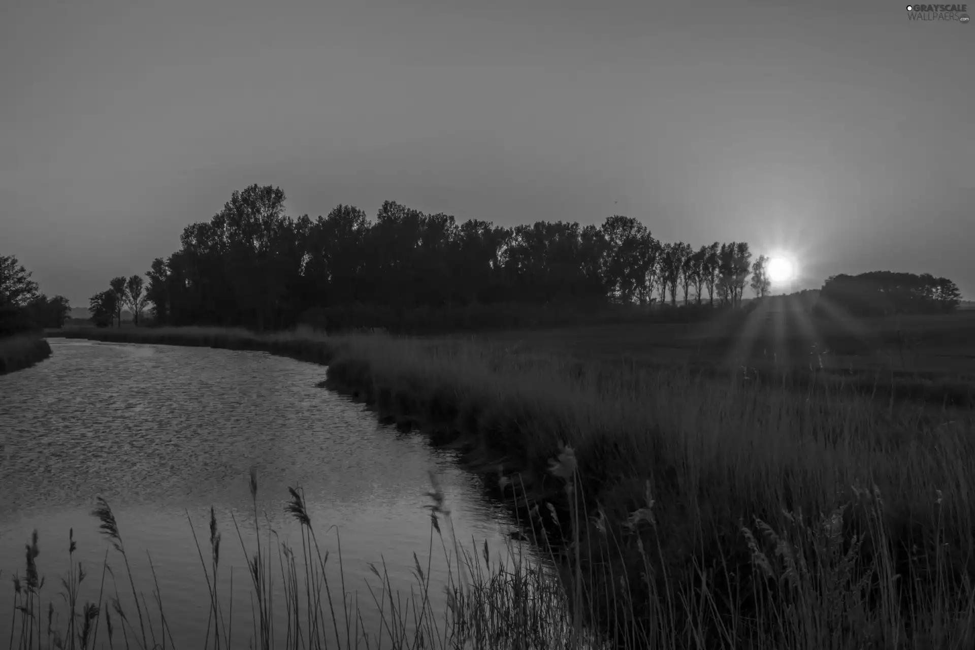 viewes, grass, west, trees, River, medows, sun