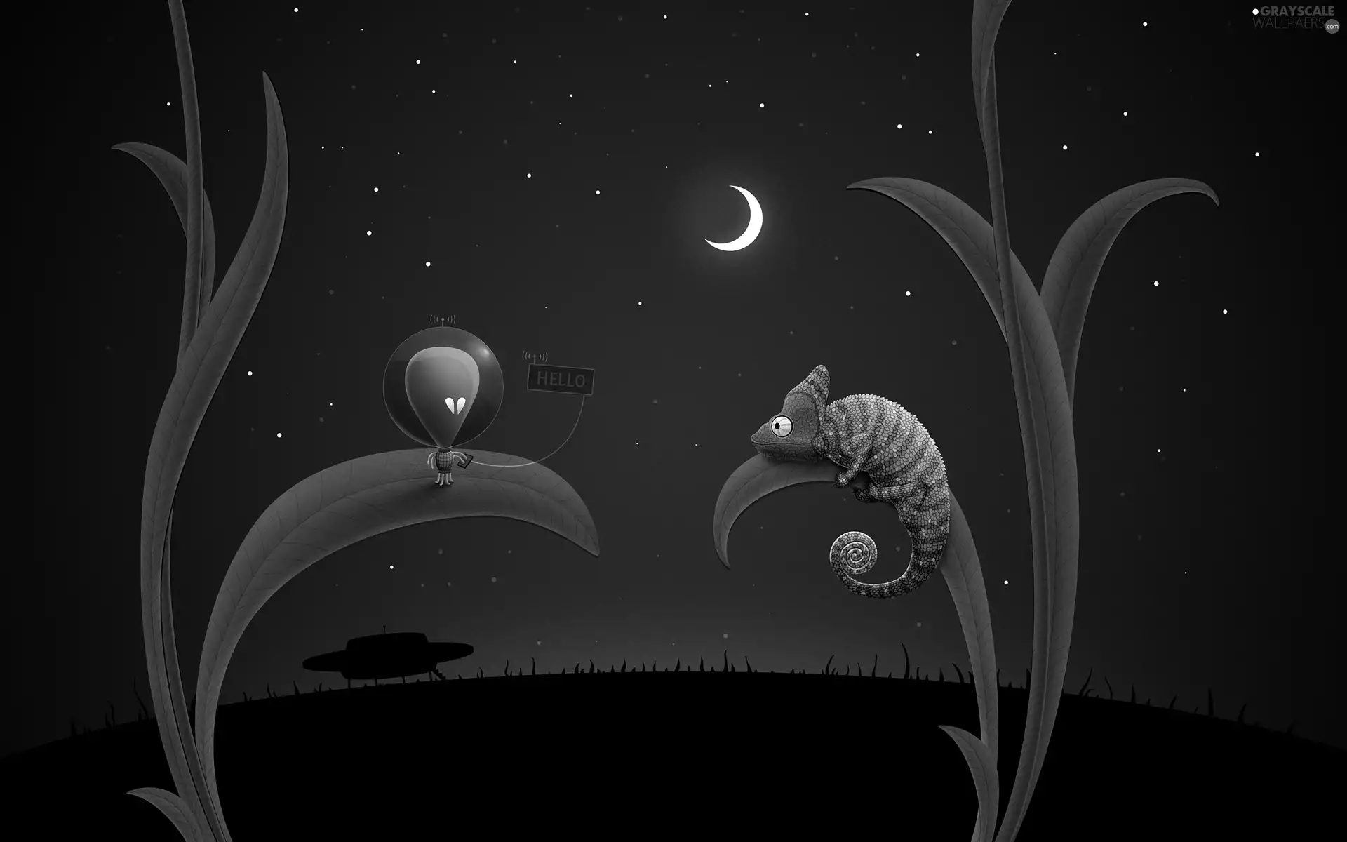 Night, ufo, meet, Cameleon