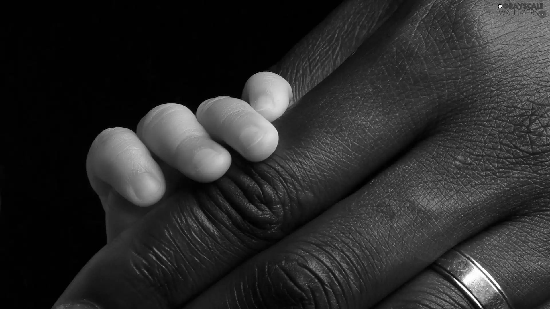 Men, ring, child-, hand, hand