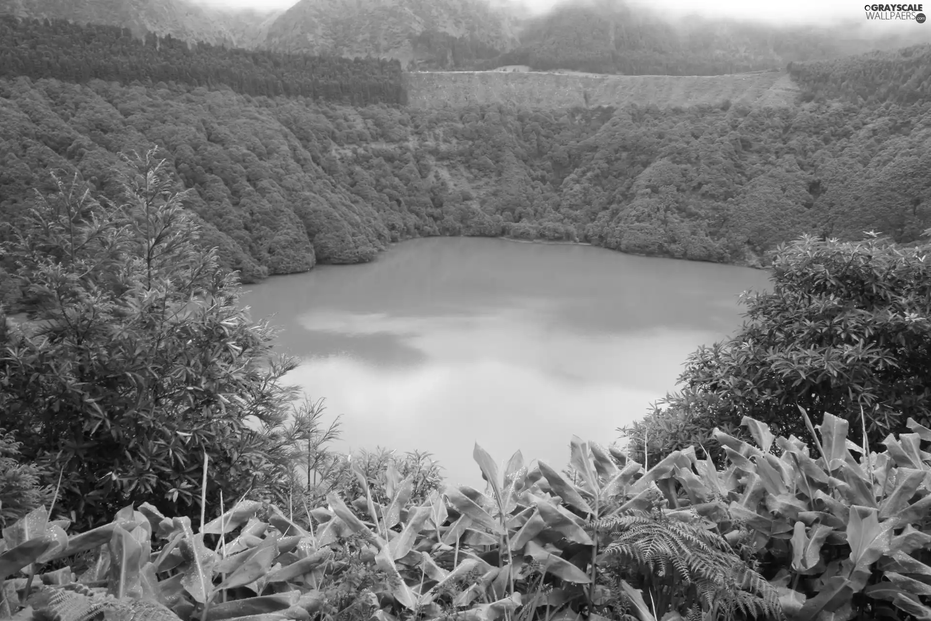 Mountains, lake, Sao Miguel, Portugal, Flowers, forested