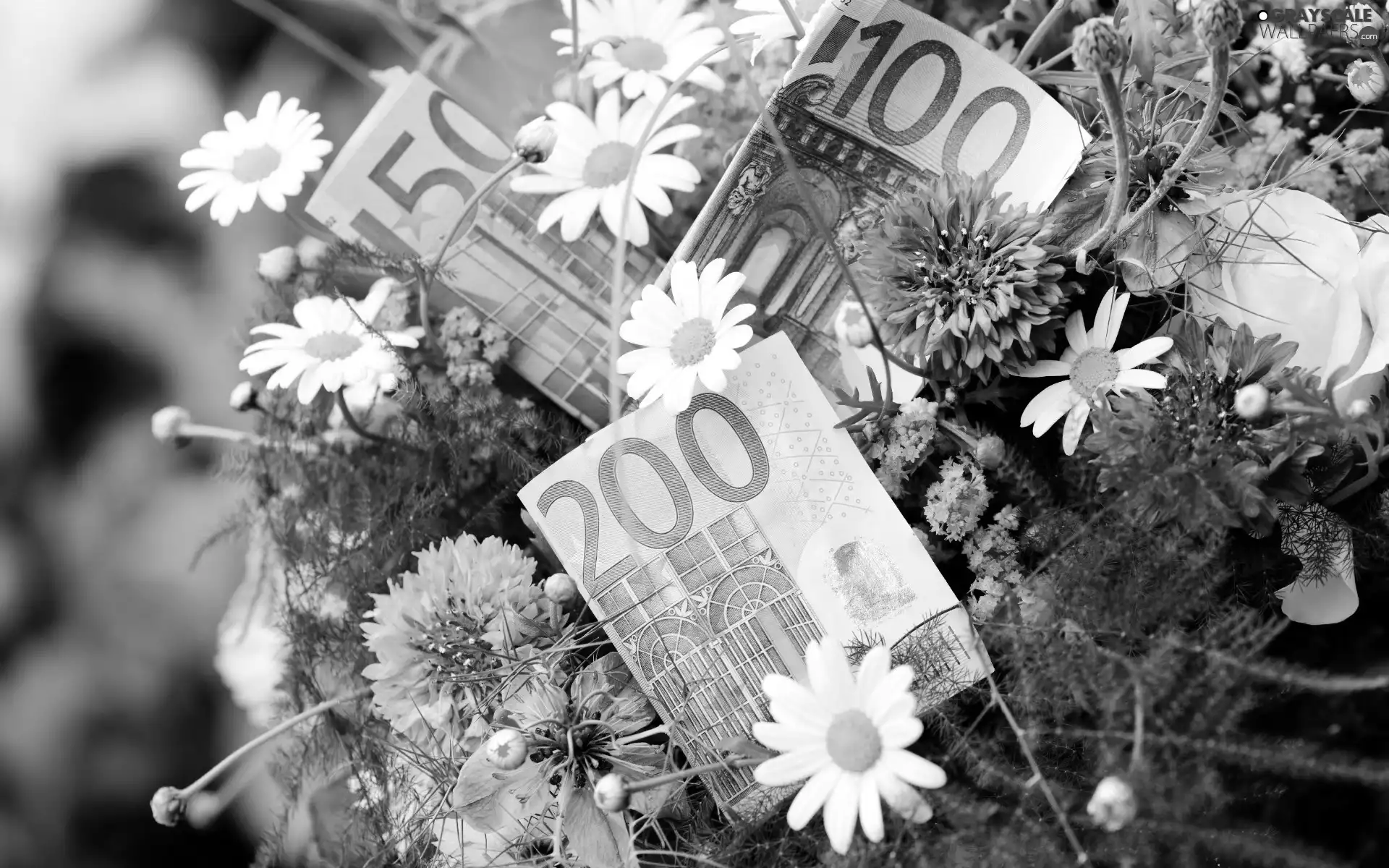money, bouquet, flowers