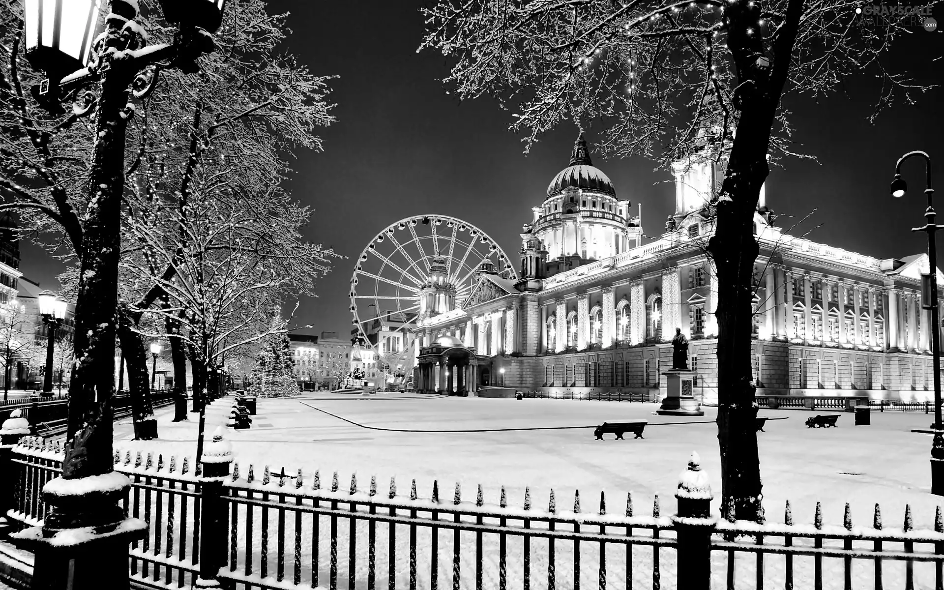 Monument, winter, Belfast, town hall, Ireland