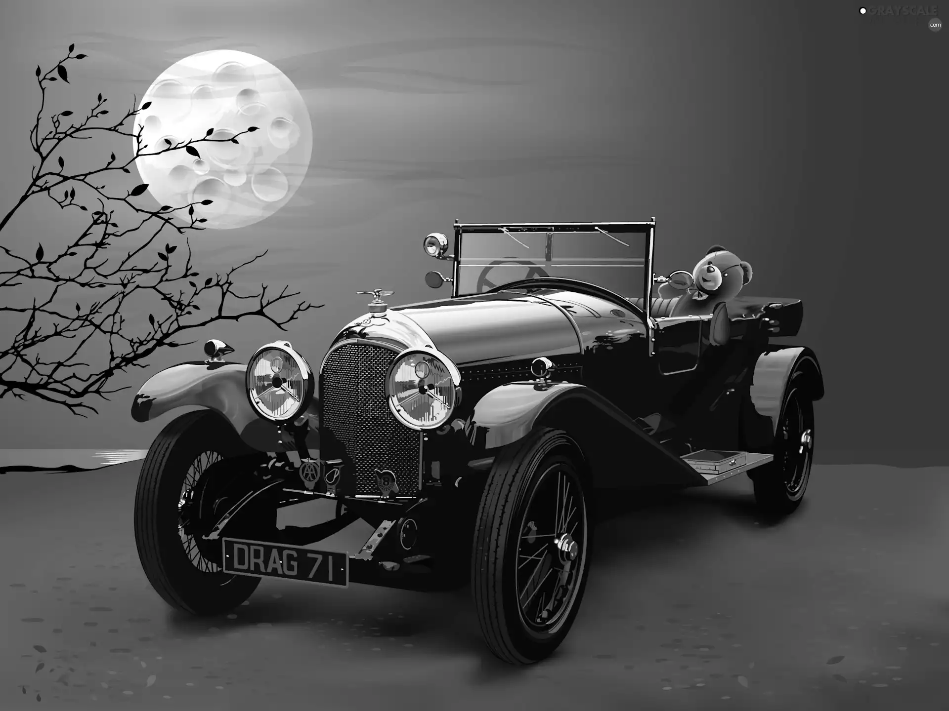 Chevrolet, teddy bear, moon, Twigs