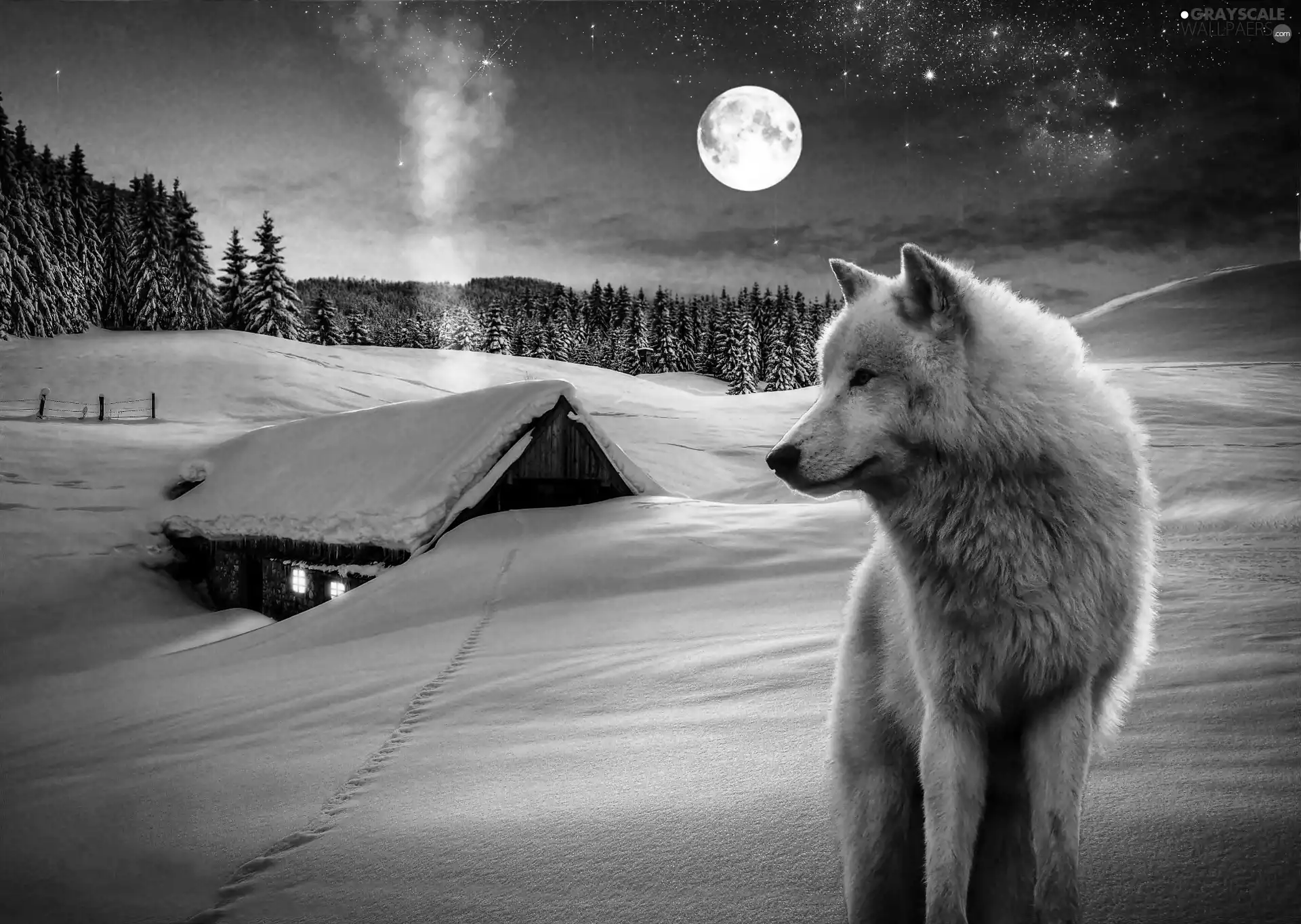 winter, Wolf, moon, fantasy, forest, house