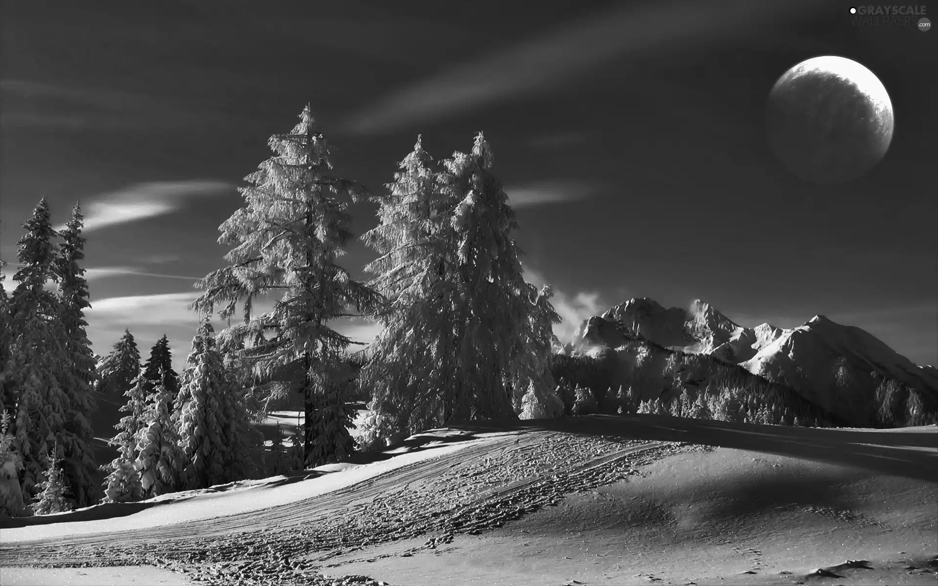 trees, Night, moon, snow, viewes, Mountains