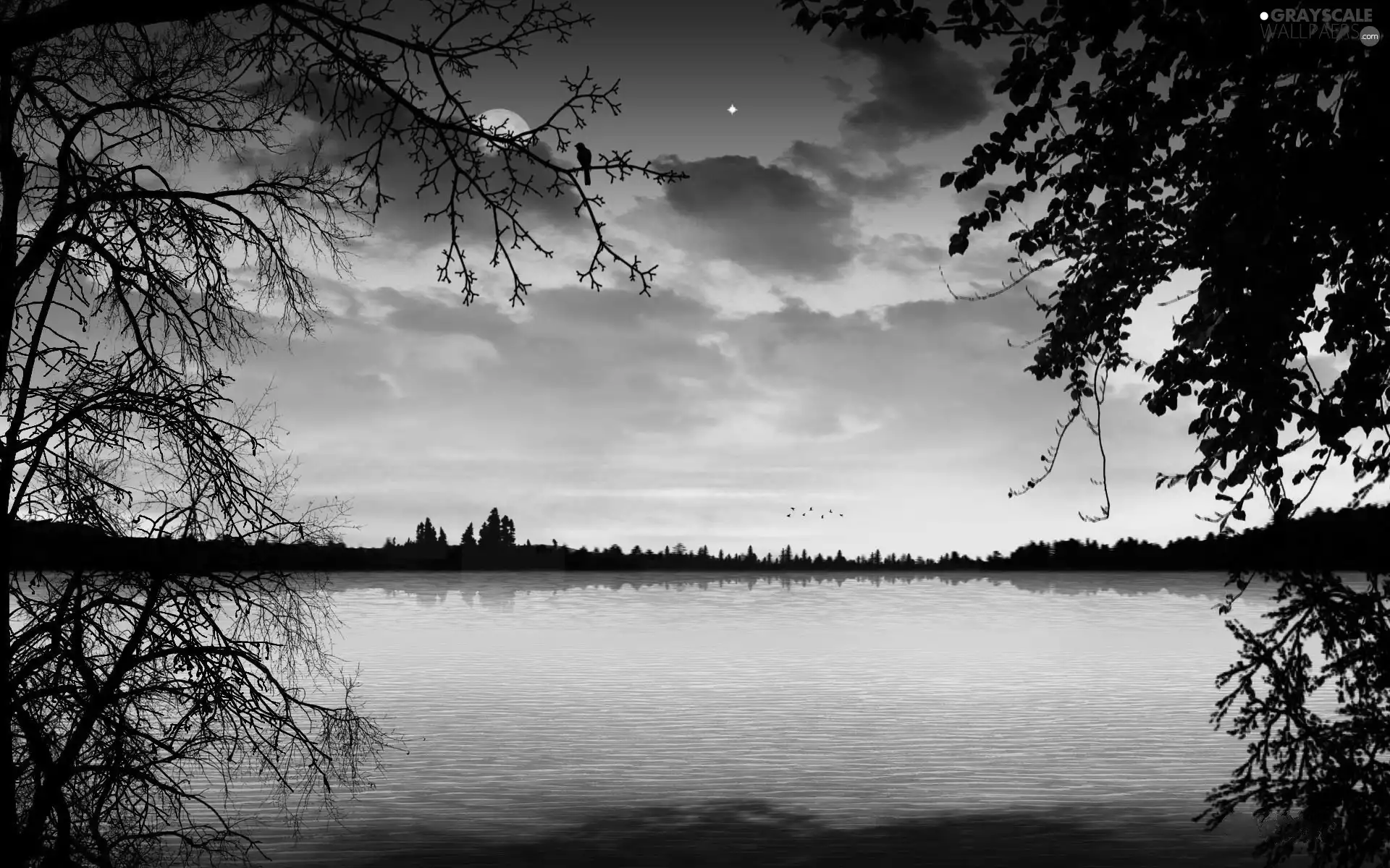 trees, west, moon, starfish, viewes, lake