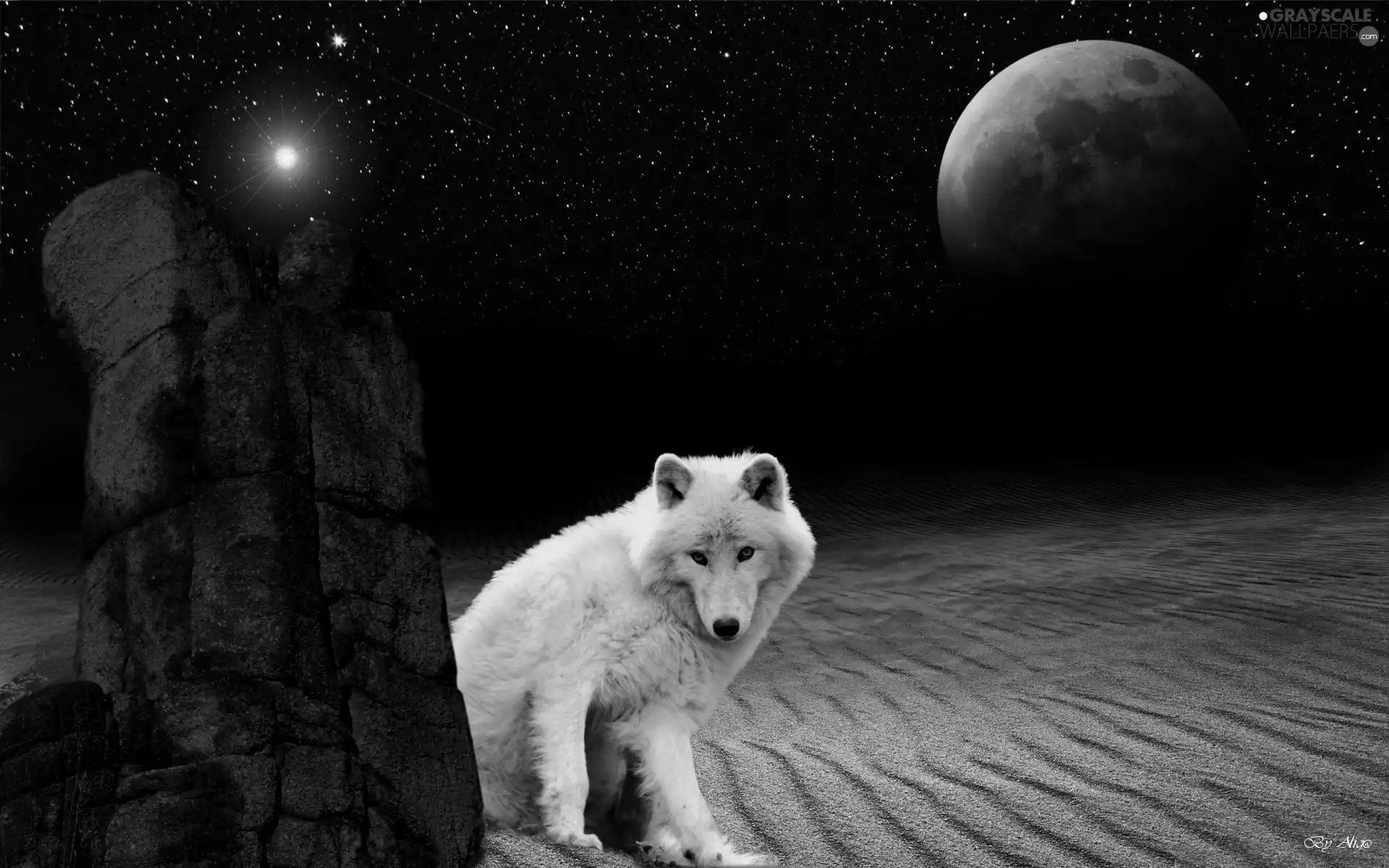 White, Desert, moon, Wolf