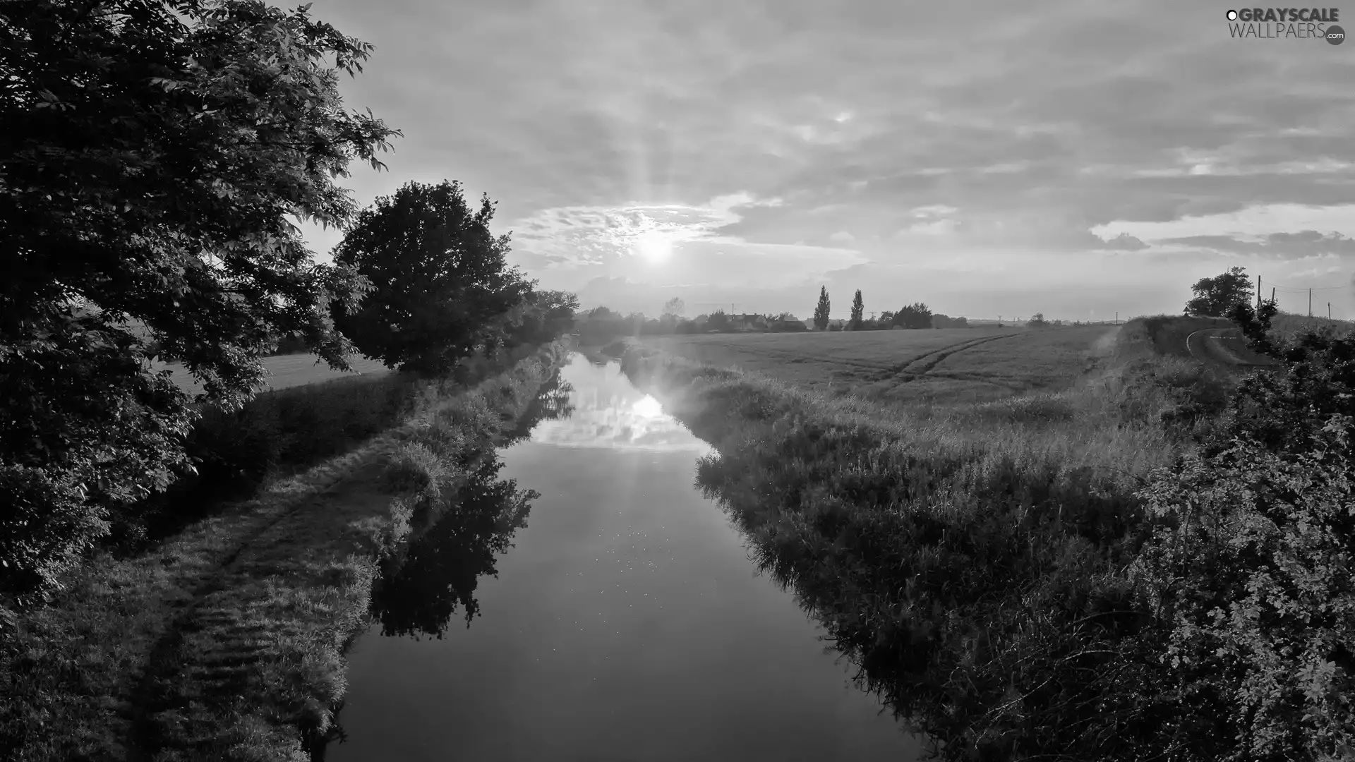 brook, sun, morning, rays