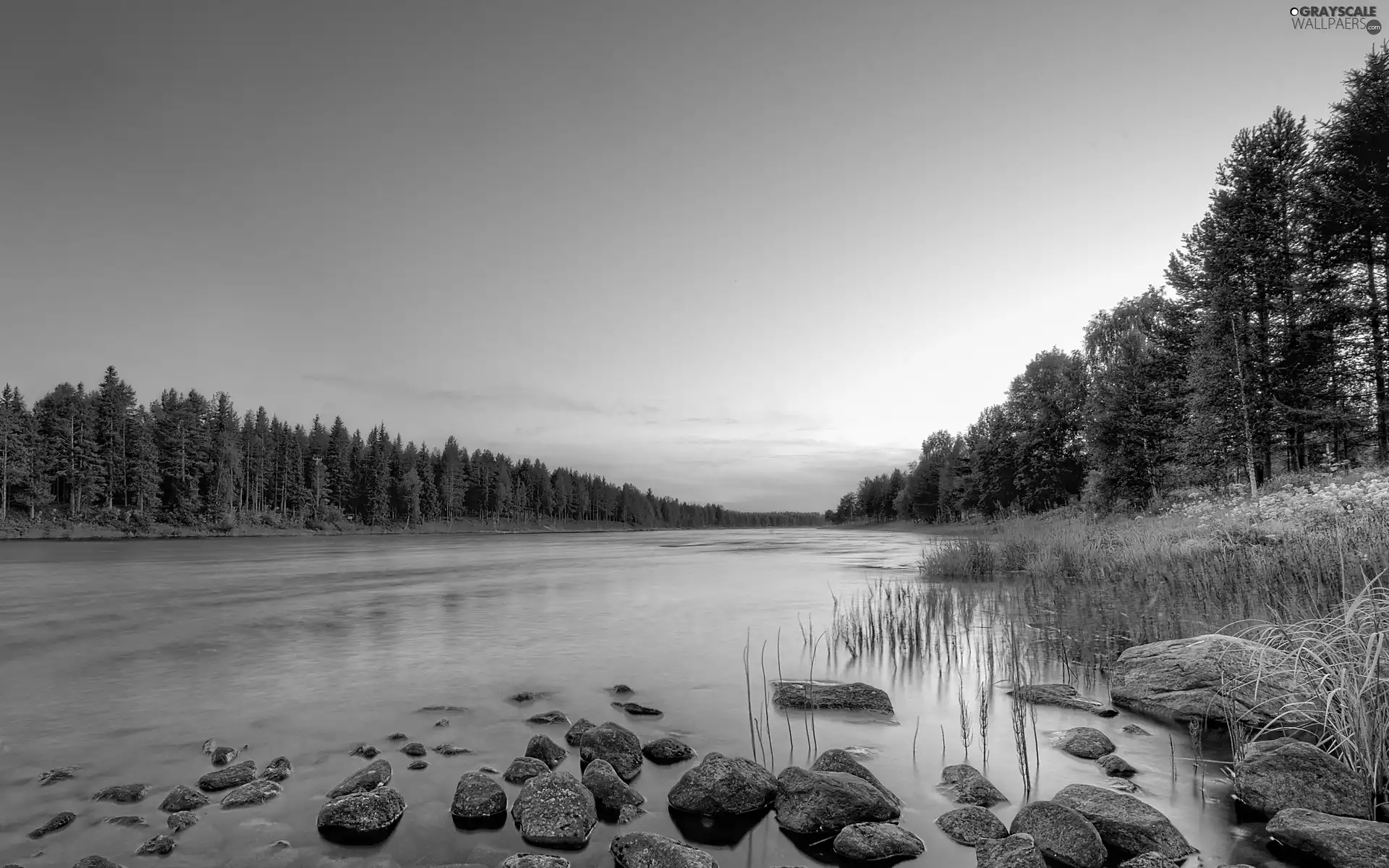 River, Stones, morning, woods